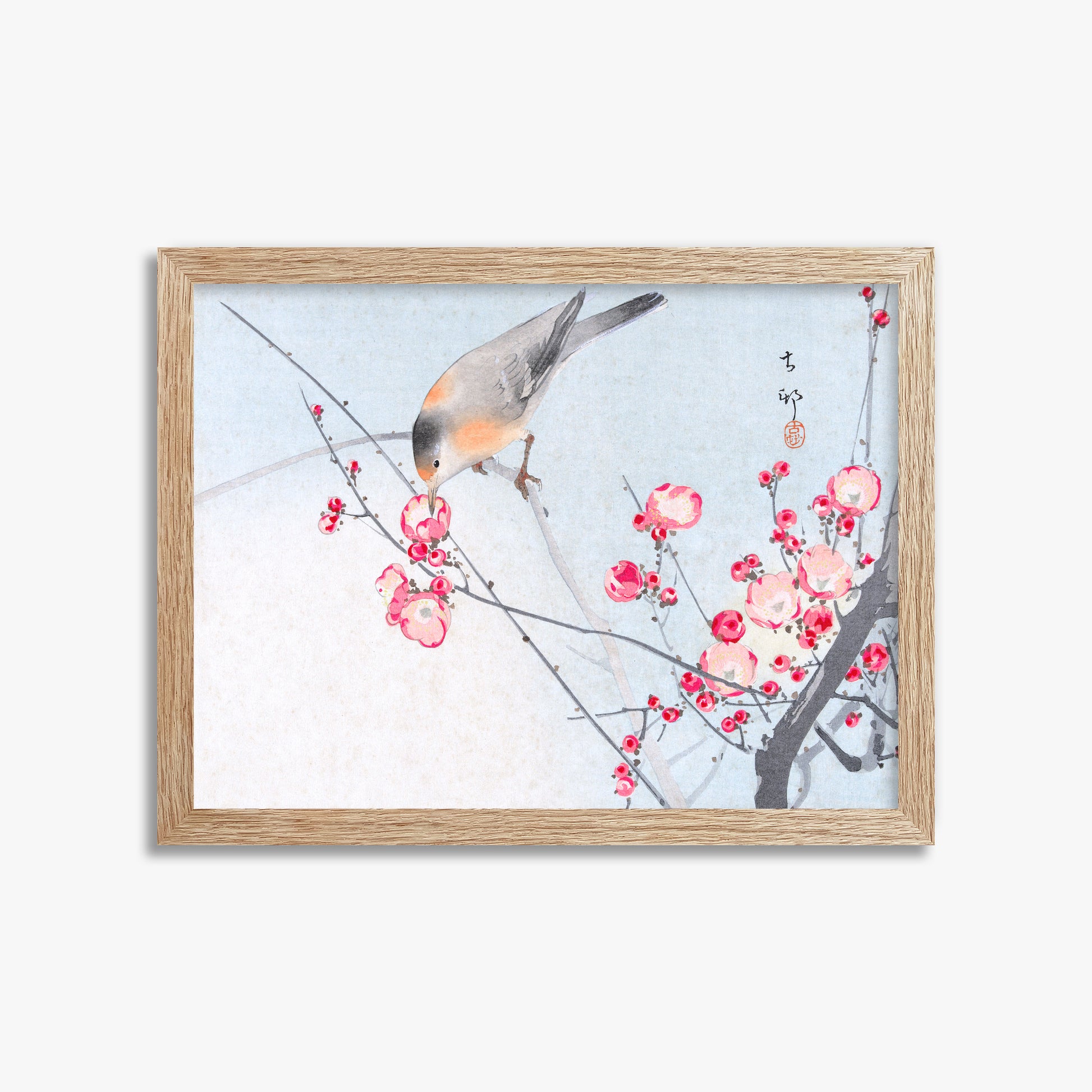 Ohara Koson: Songbird on Blossom Branch, 30x40cm Framed Art Reproduction With Raw Oak Frame