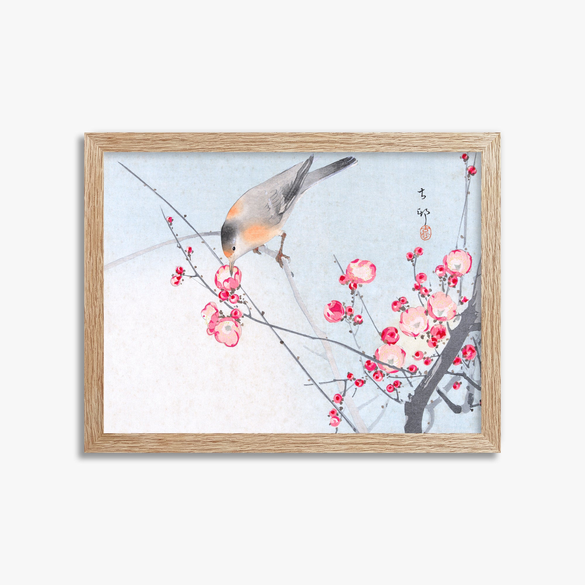 Ohara Koson: Songbird on Blossom Branch, 30x40cm Framed Art Reproduction With Raw Oak Frame
