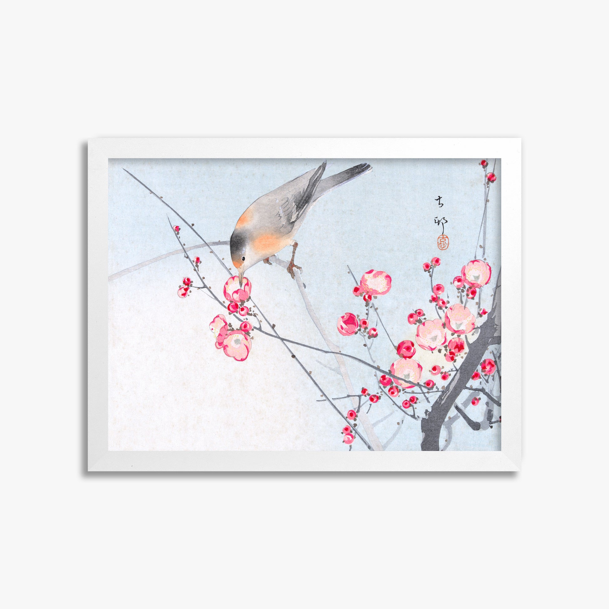 Ohara Koson: Songbird on Blossom Branch, 30x40cm Framed Art Reproduction With White Frame