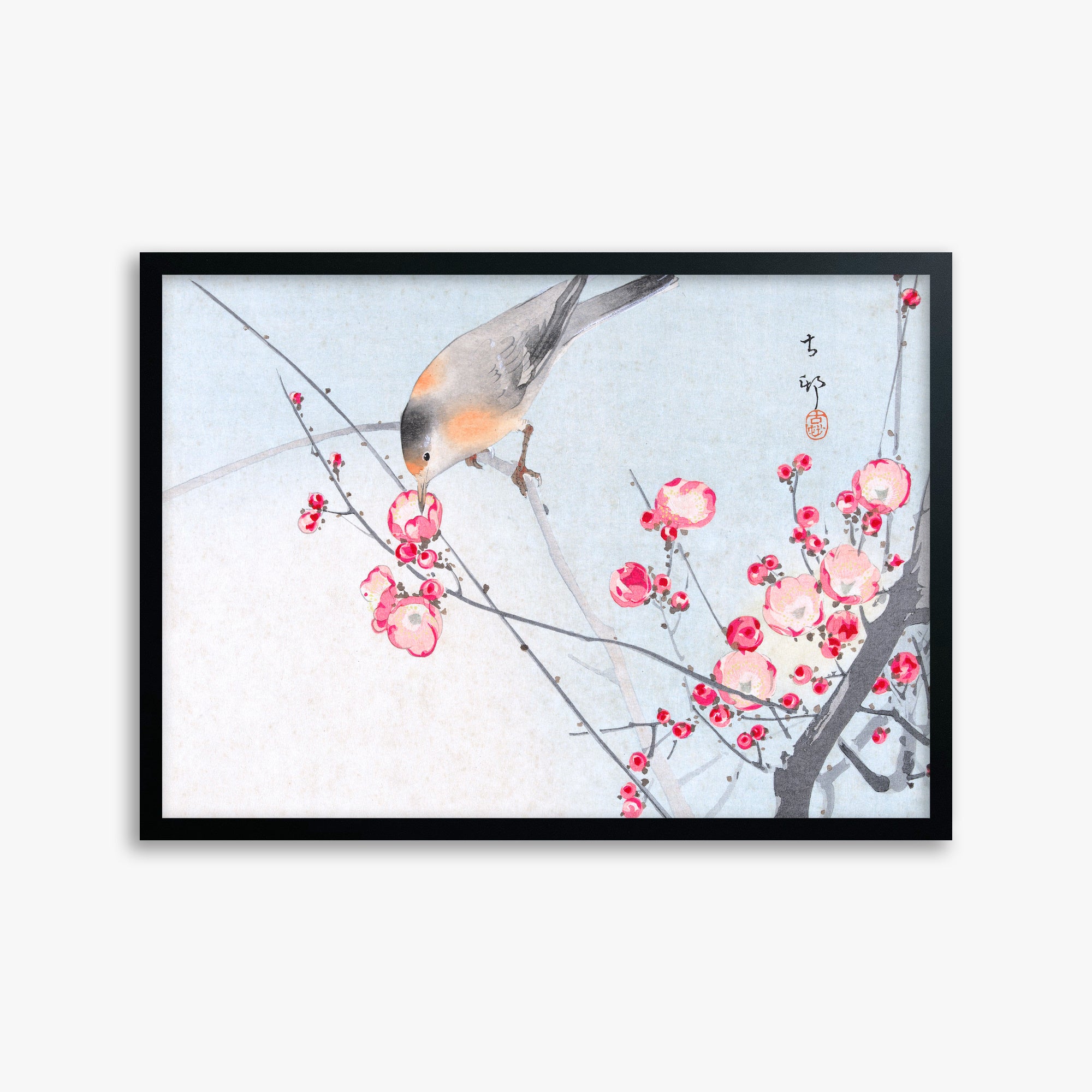 Ohara Koson: Songbird on Blossom Branch, 50x70cm Framed Art Reproduction With Black Frame
