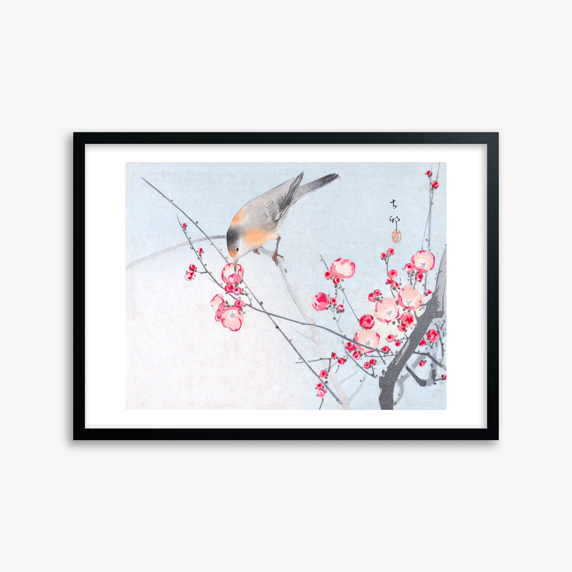 Ohara Koson: Songbird on Blossom Branch, 50x70cm Framed Art Reproduction With Black Frame