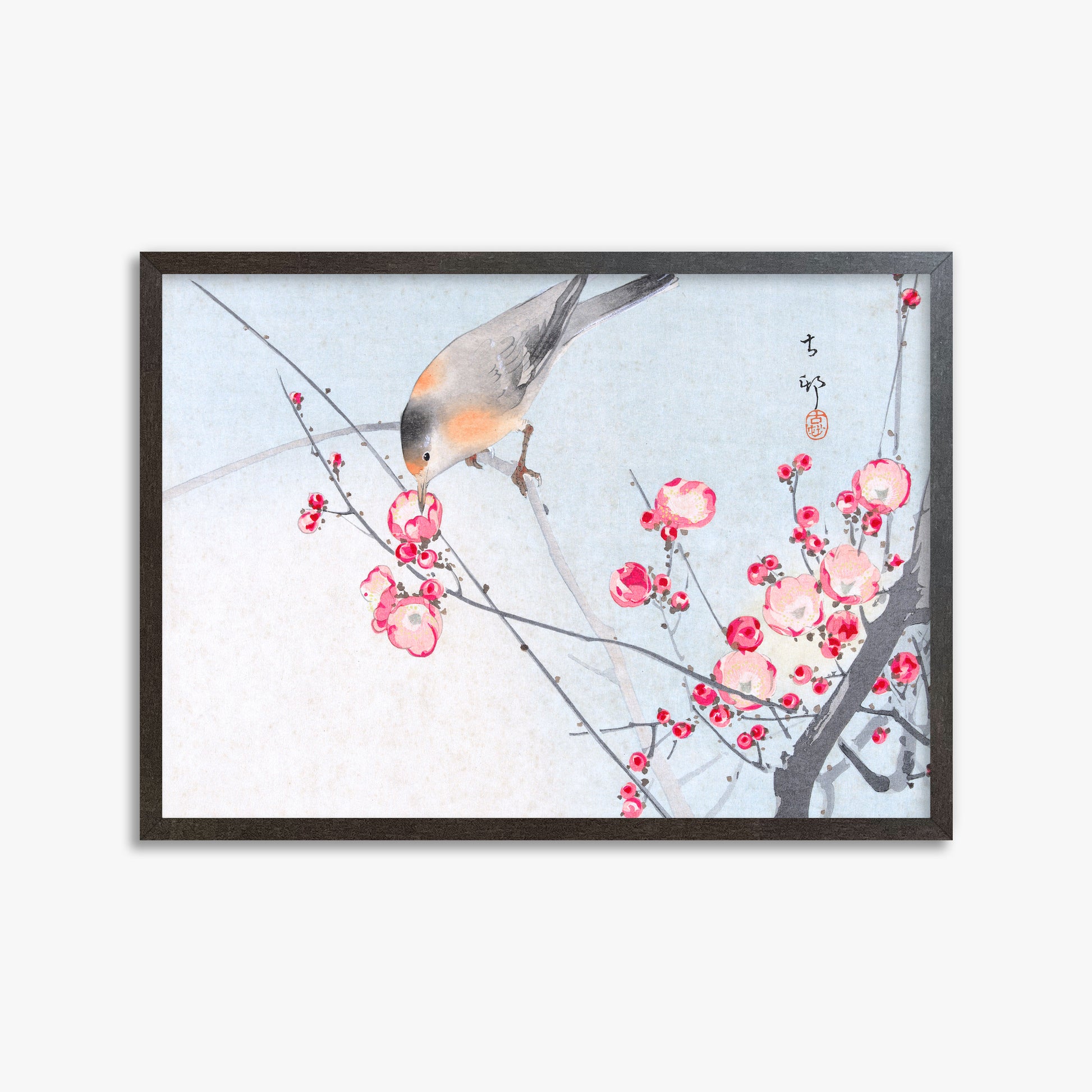 Ohara Koson: Songbird on Blossom Branch, 50x70cm Framed Art Reproduction With Espresso Frame