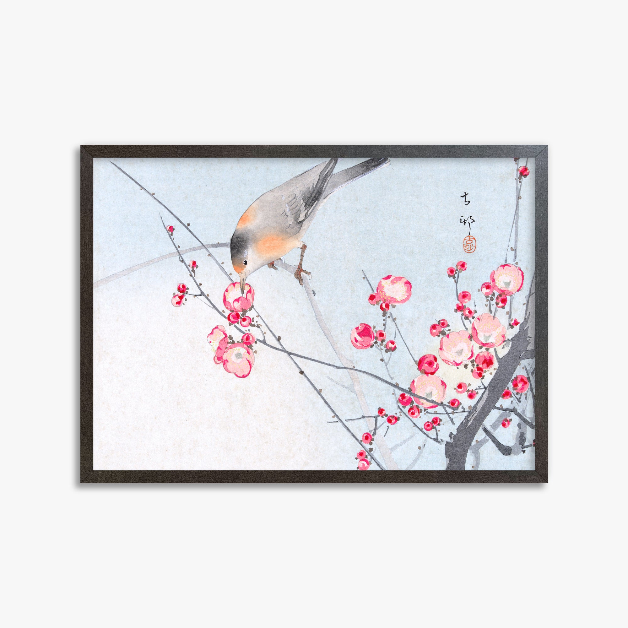 Ohara Koson: Songbird on Blossom Branch, 50x70cm Framed Art Reproduction With Espresso Frame
