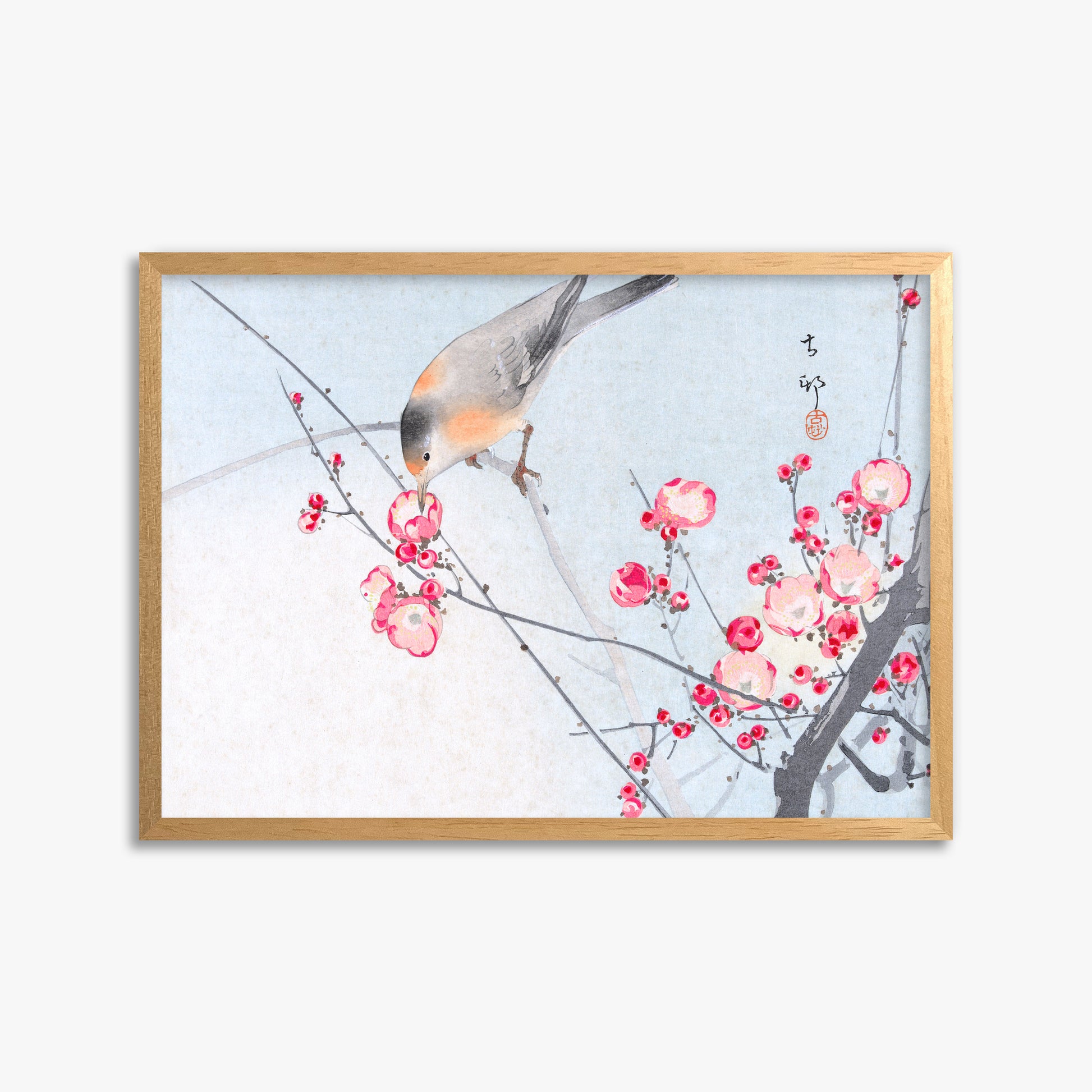 Ohara Koson: Songbird on Blossom Branch, 50x70cm Framed Art Reproduction With Oak Frame