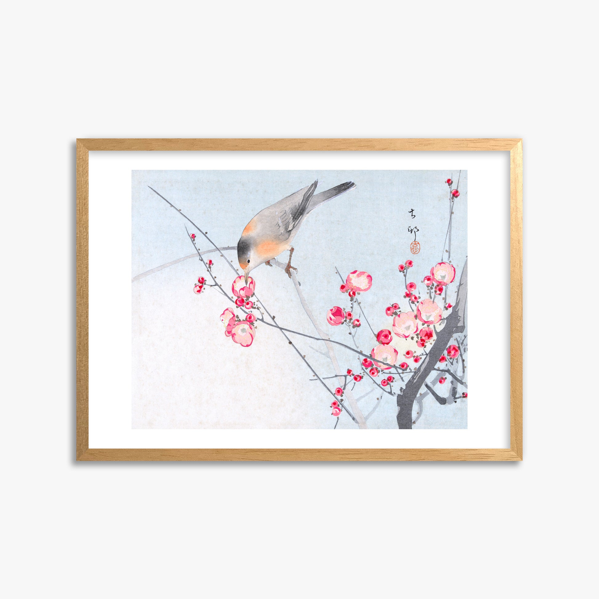 Ohara Koson: Songbird on Blossom Branch, 50x70cm Framed Art Reproduction With Oak Frame
