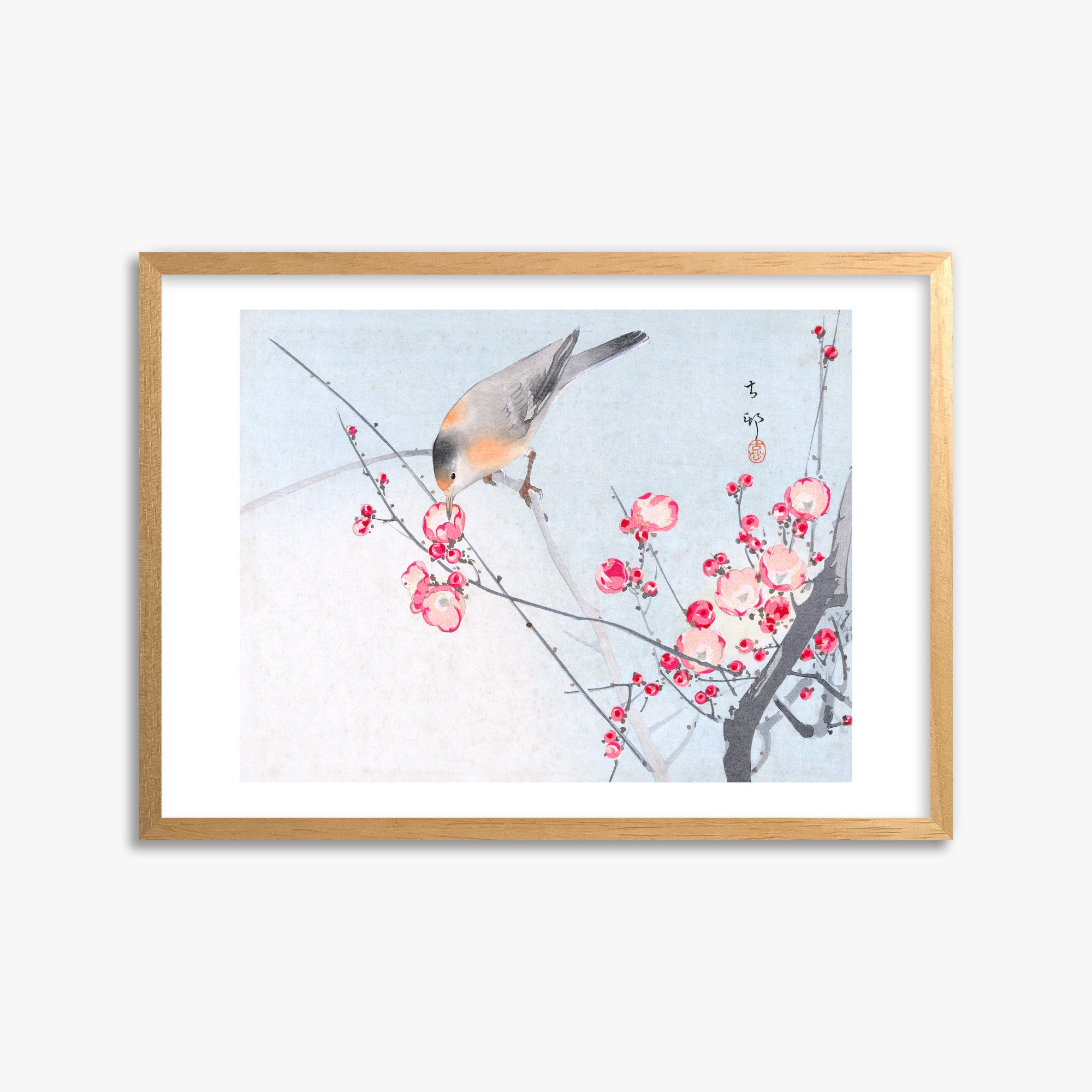 Ohara Koson: Songbird on Blossom Branch, 50x70cm Framed Art Reproduction With Oak Frame