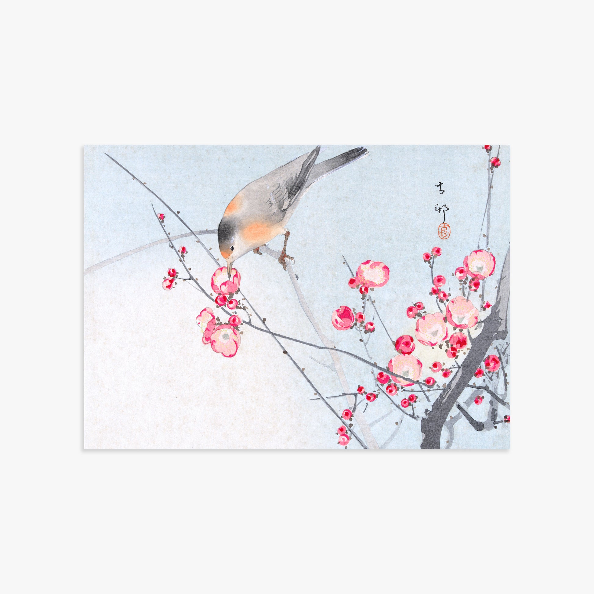 Ohara Koson: Songbird on Blossom Branch, 50x70cm Art Reproduction Unframed