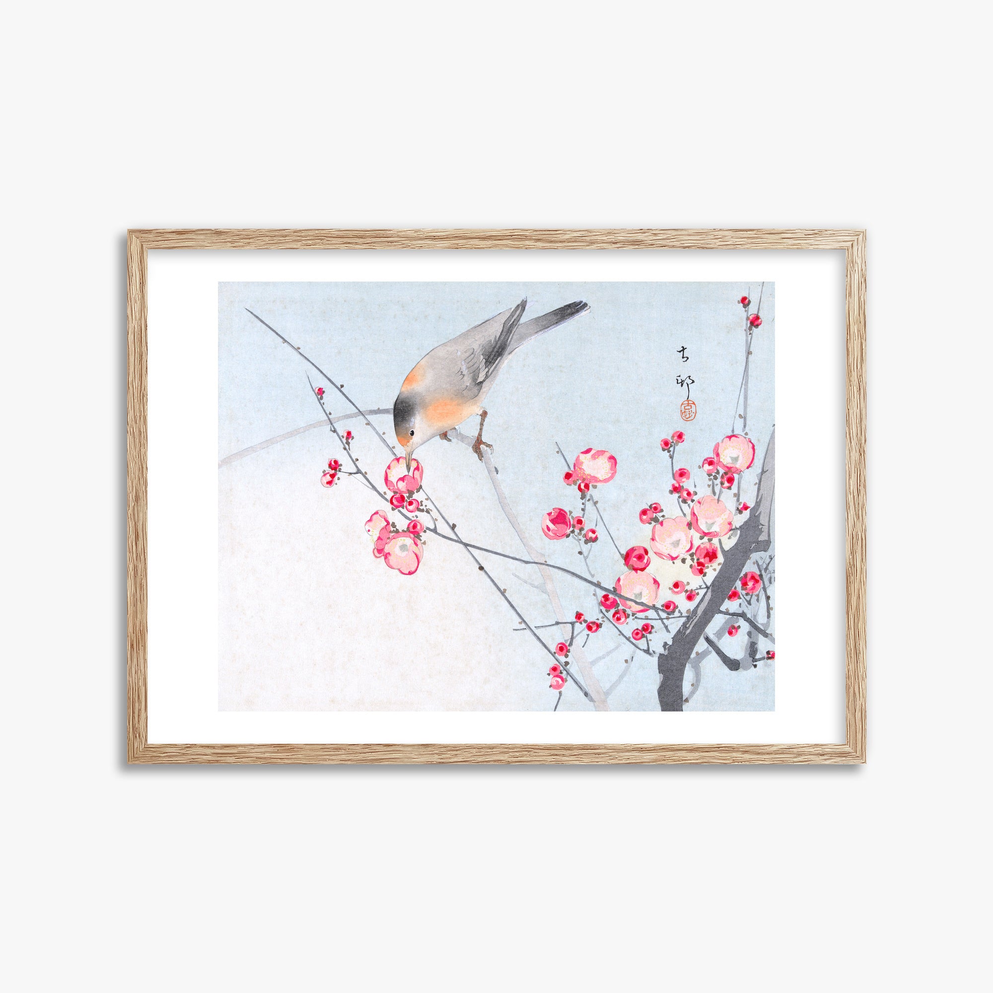 Ohara Koson: Songbird on Blossom Branch, 50x70cm Framed Art Reproduction With Raw Oak Frame