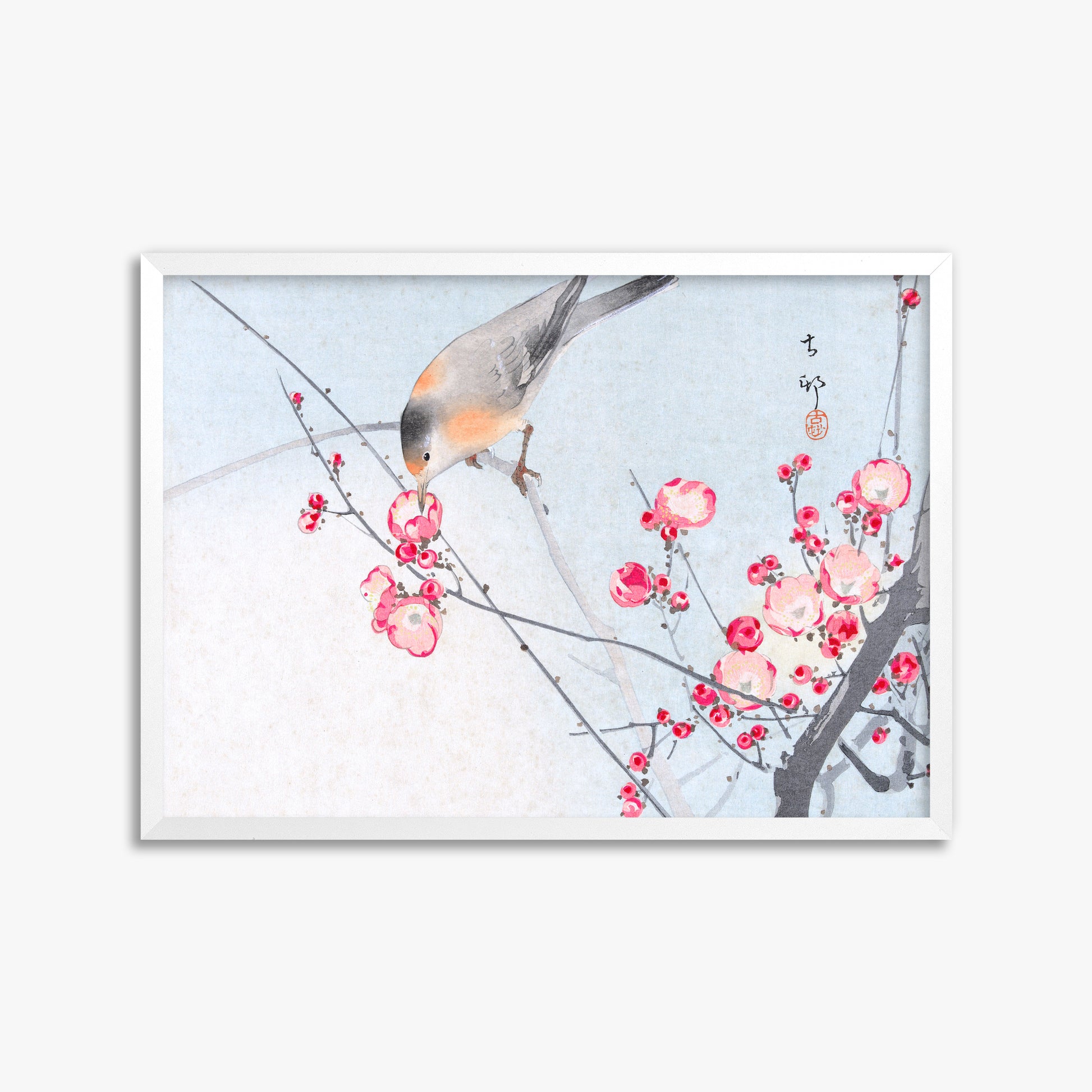 Ohara Koson: Songbird on Blossom Branch, 50x70cm Framed Art Reproduction With White Frame