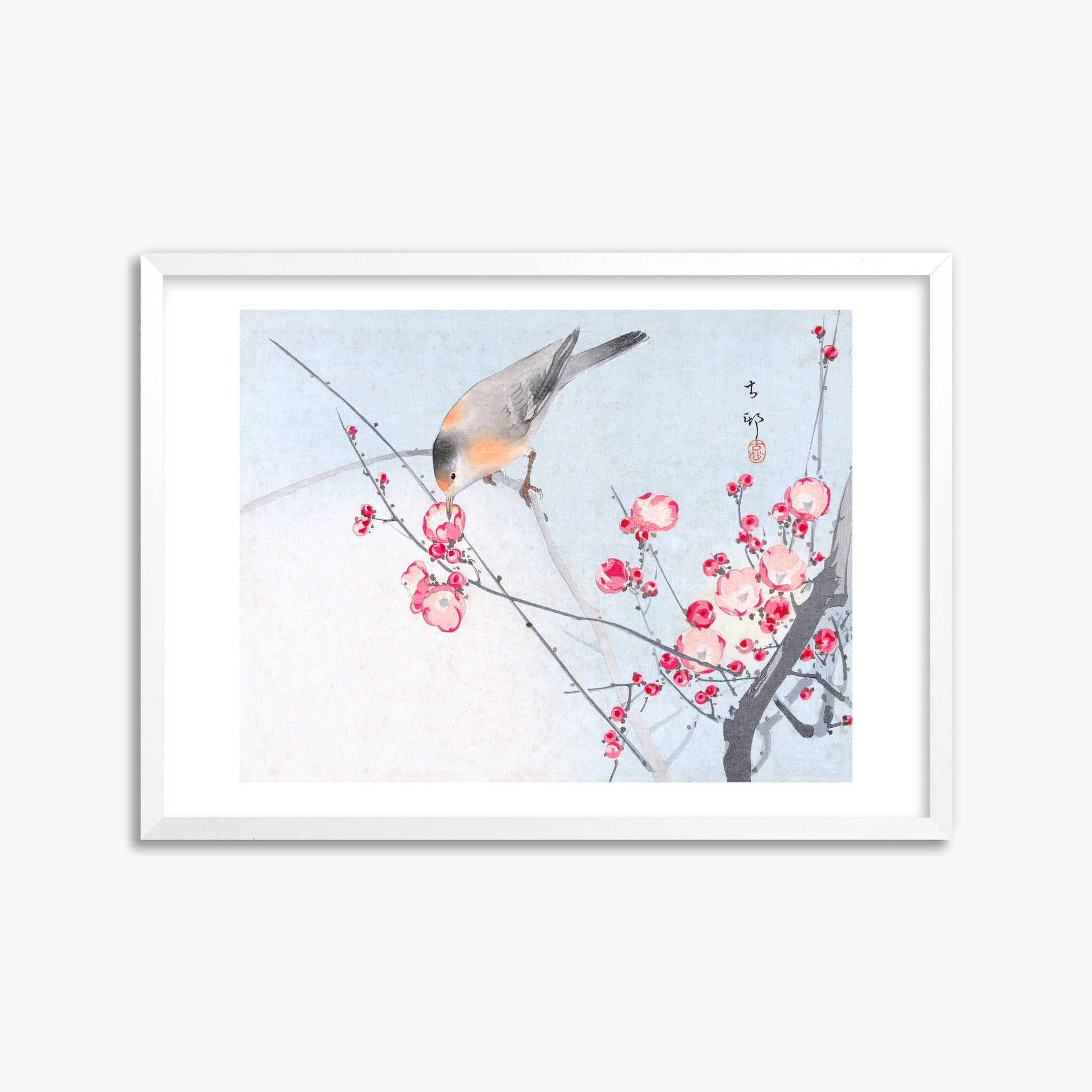Ohara Koson: Songbird on Blossom Branch, 50x70cm Framed Art Reproduction With White Frame