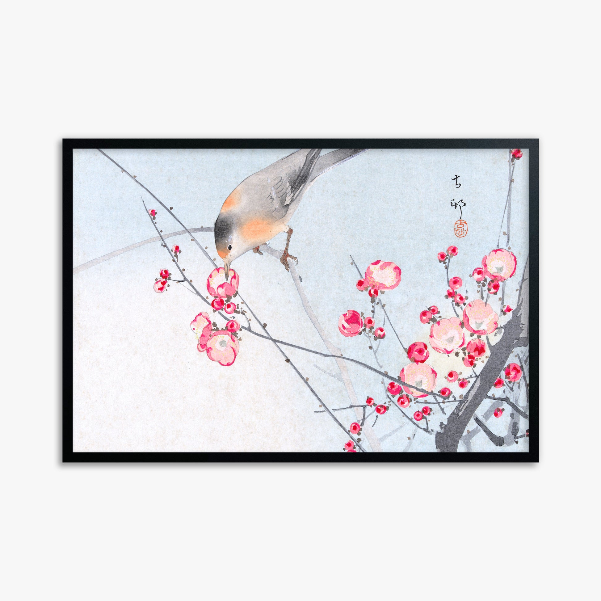Ohara Koson: Songbird on Blossom Branch, 61x91cm Framed Art Reproduction With Black Frame