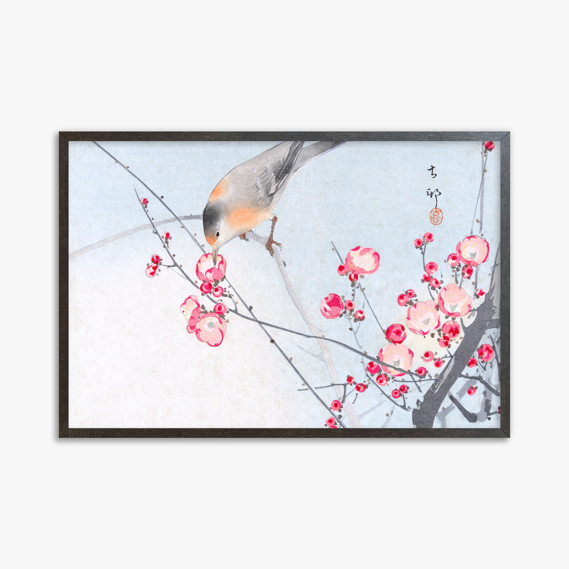 Ohara Koson: Songbird on Blossom Branch, 61x91cm Framed Art Reproduction With Espresso Frame