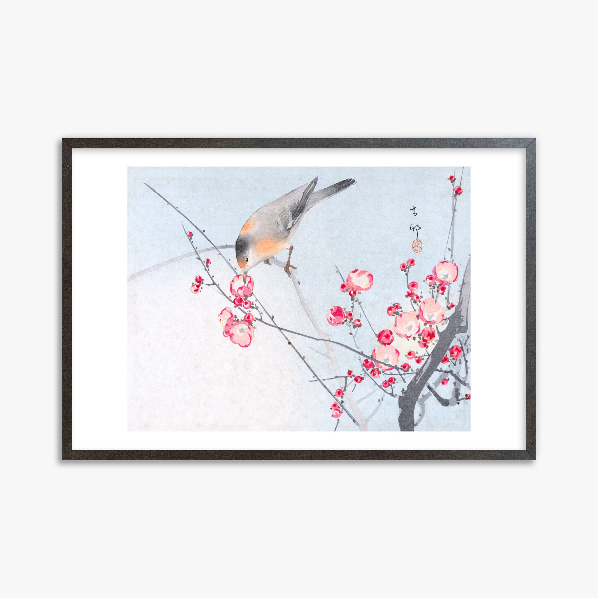 Ohara Koson: Songbird on Blossom Branch, 61x91cm Framed Art Reproduction With Espresso Frame
