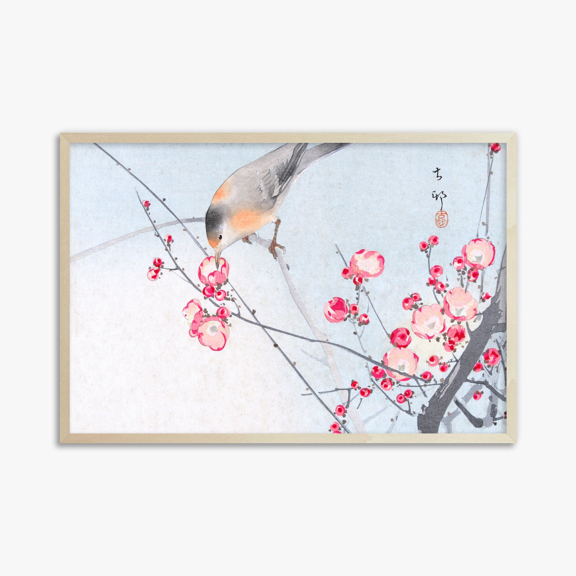 Ohara Koson: Songbird on Blossom Branch, 61x91cm Framed Art Reproduction With Lime Wood Frame