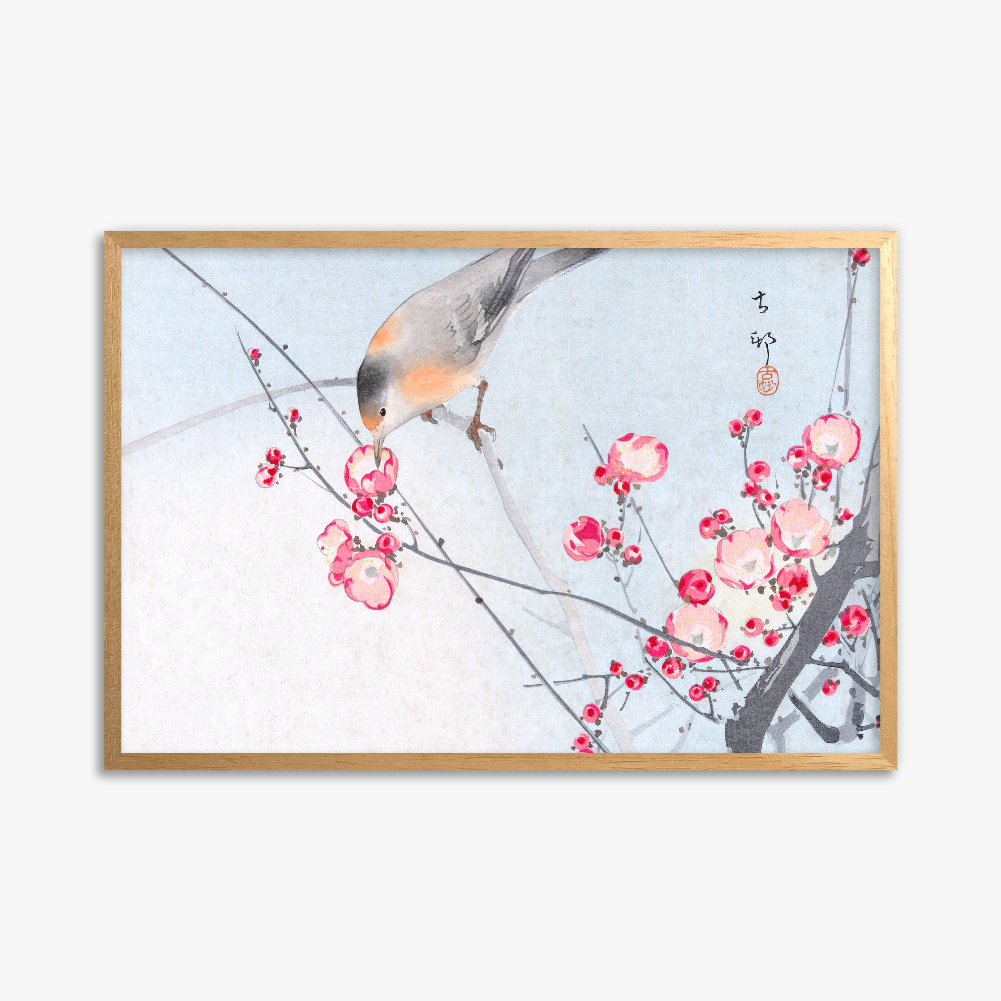 Ohara Koson: Songbird on Blossom Branch, 61x91cm Framed Art Reproduction With Oak Frame
