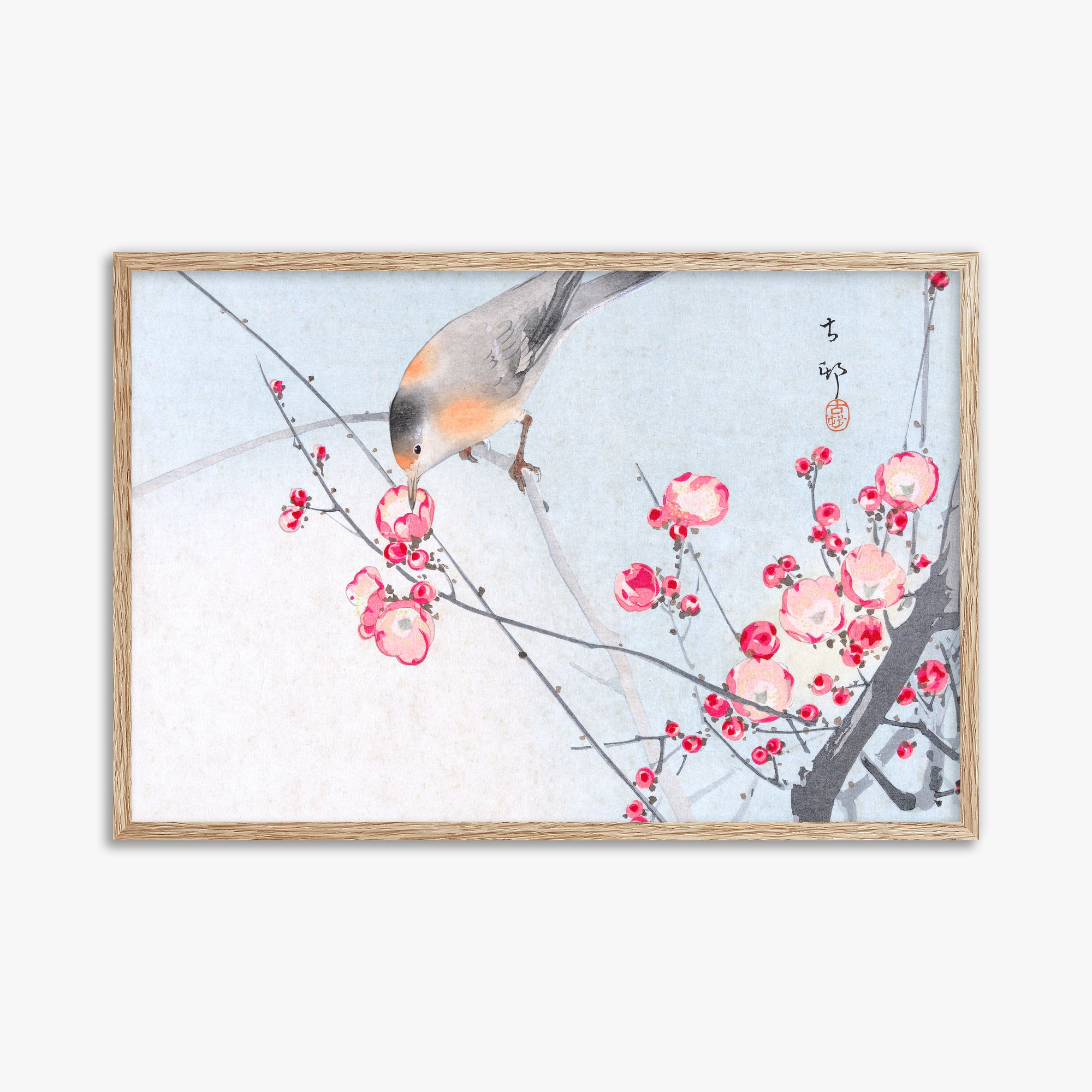 Ohara Koson: Songbird on Blossom Branch, 61x91cm Framed Art Reproduction With Raw Oak Frame