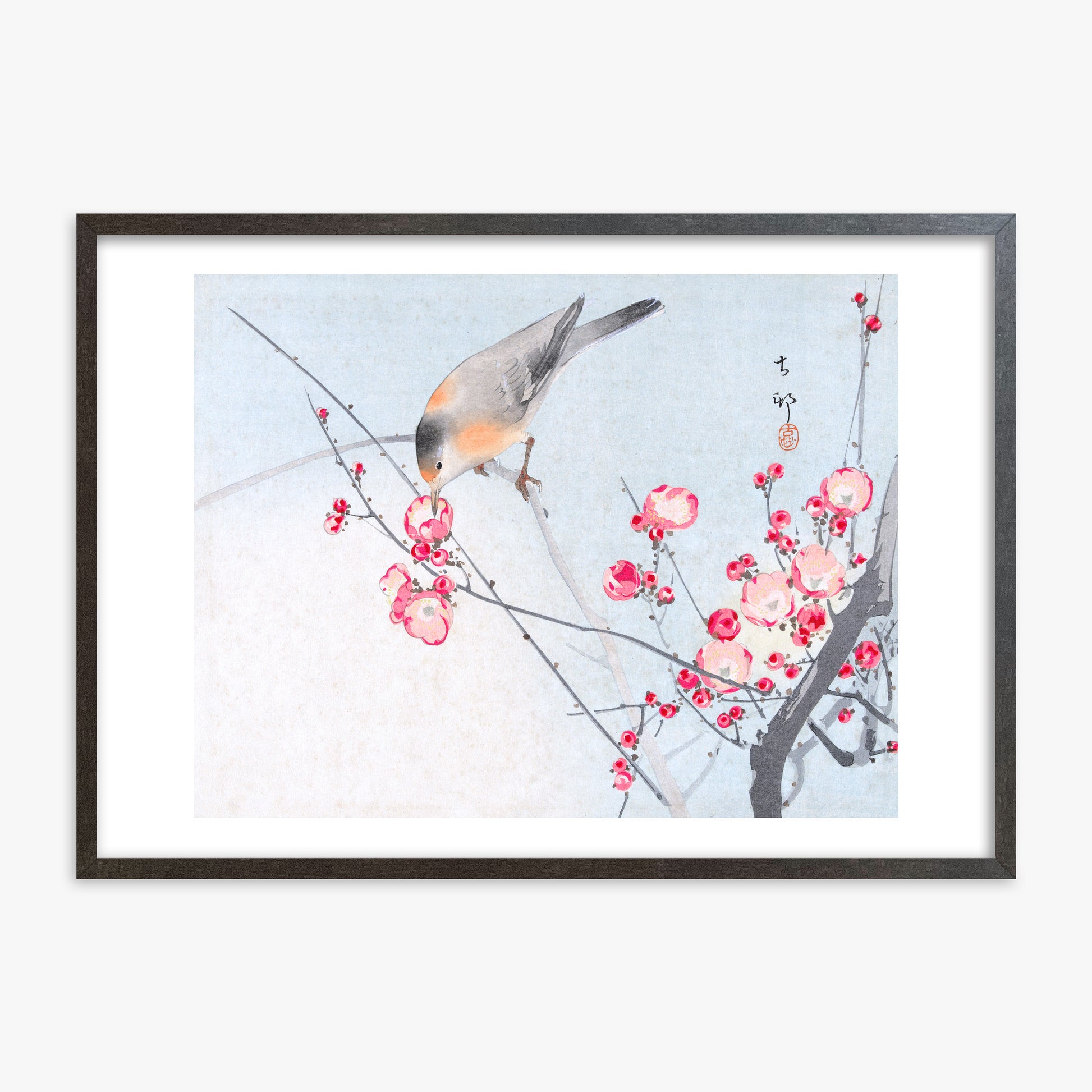 Ohara Koson: Songbird on Blossom Branch, 70x100cm Framed Art Reproduction With Espresso Frame