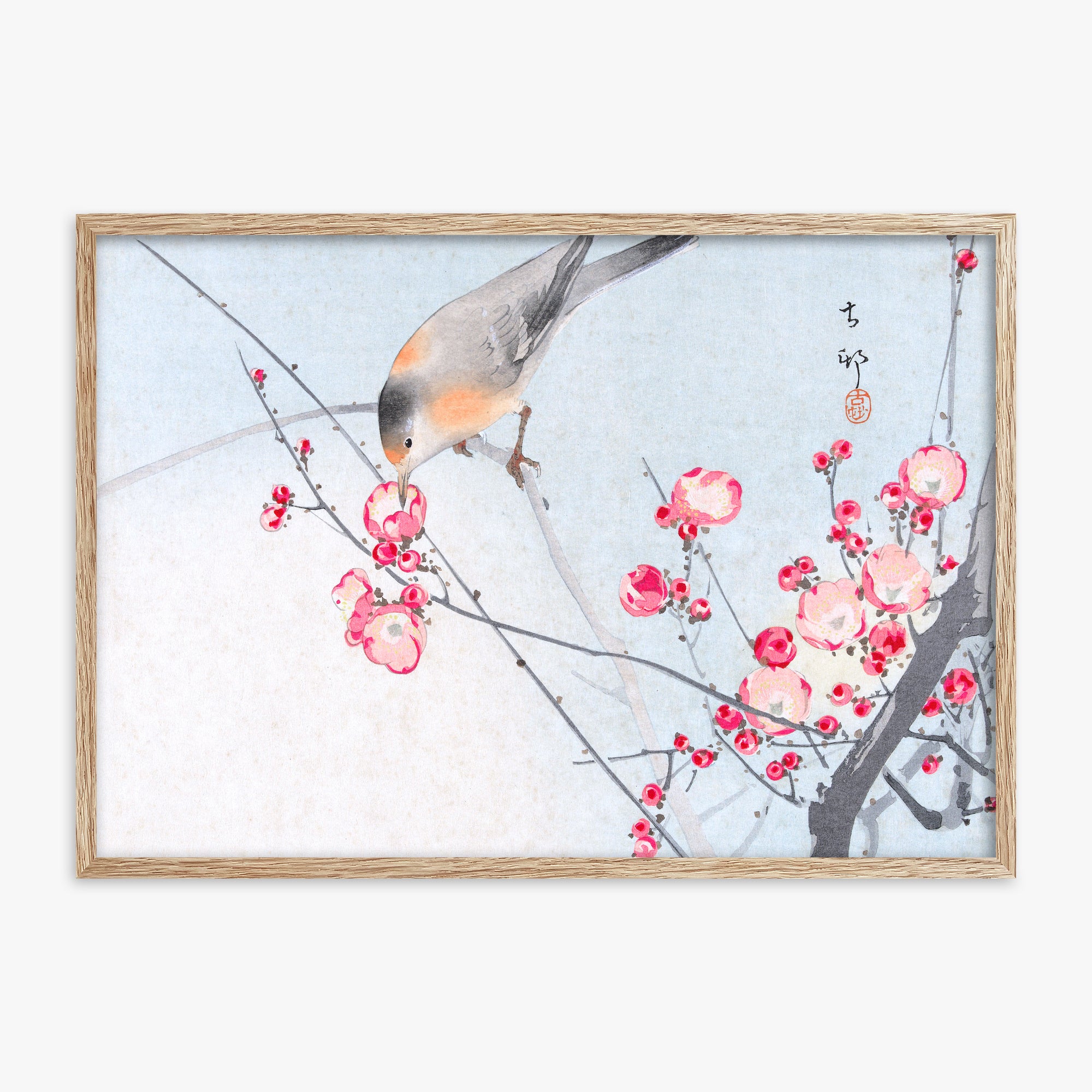 Ohara Koson: Songbird on Blossom Branch, 70x100cm Framed Art Reproduction With Raw Oak Frame