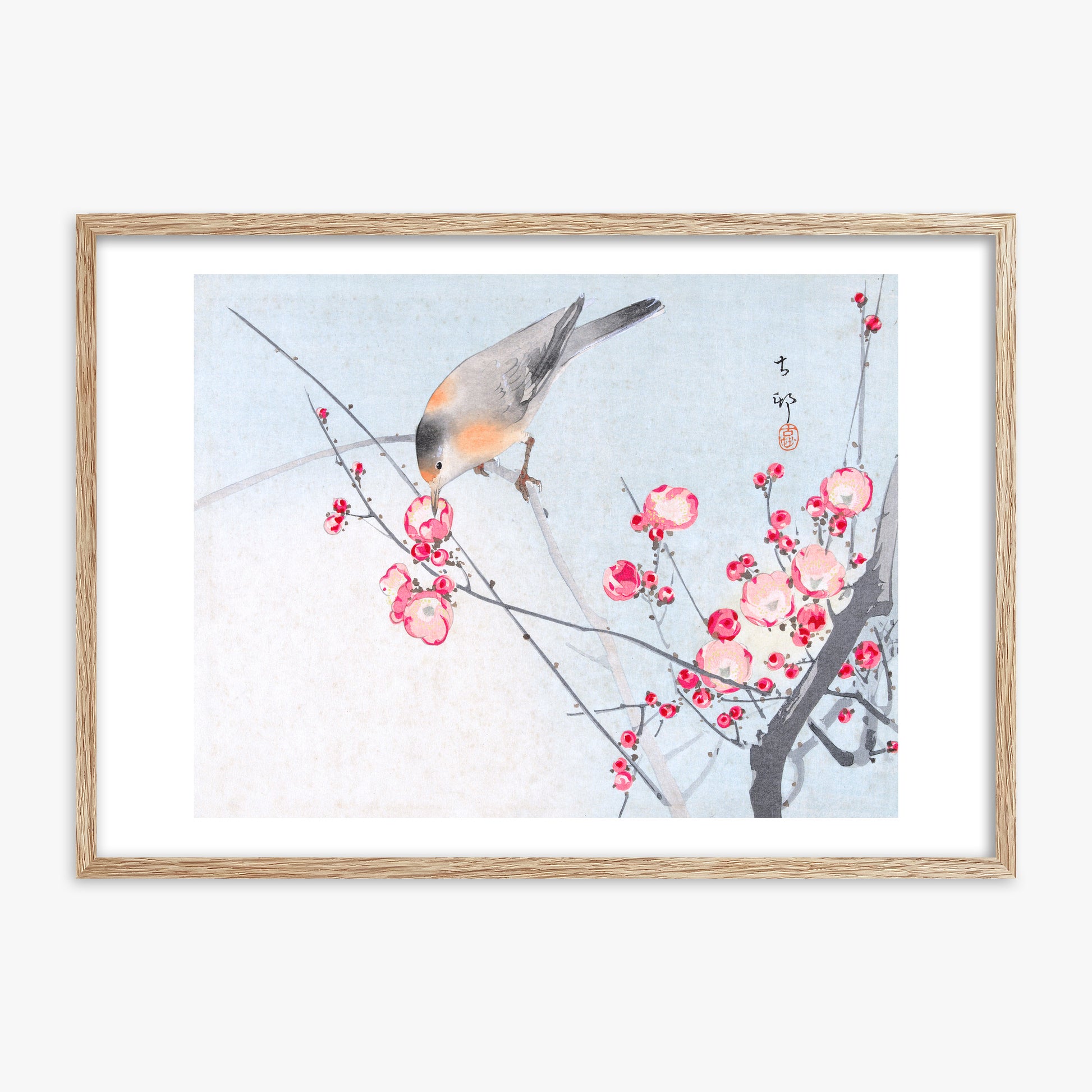 Ohara Koson: Songbird on Blossom Branch, 70x100cm Framed Art Reproduction With Raw Oak Frame