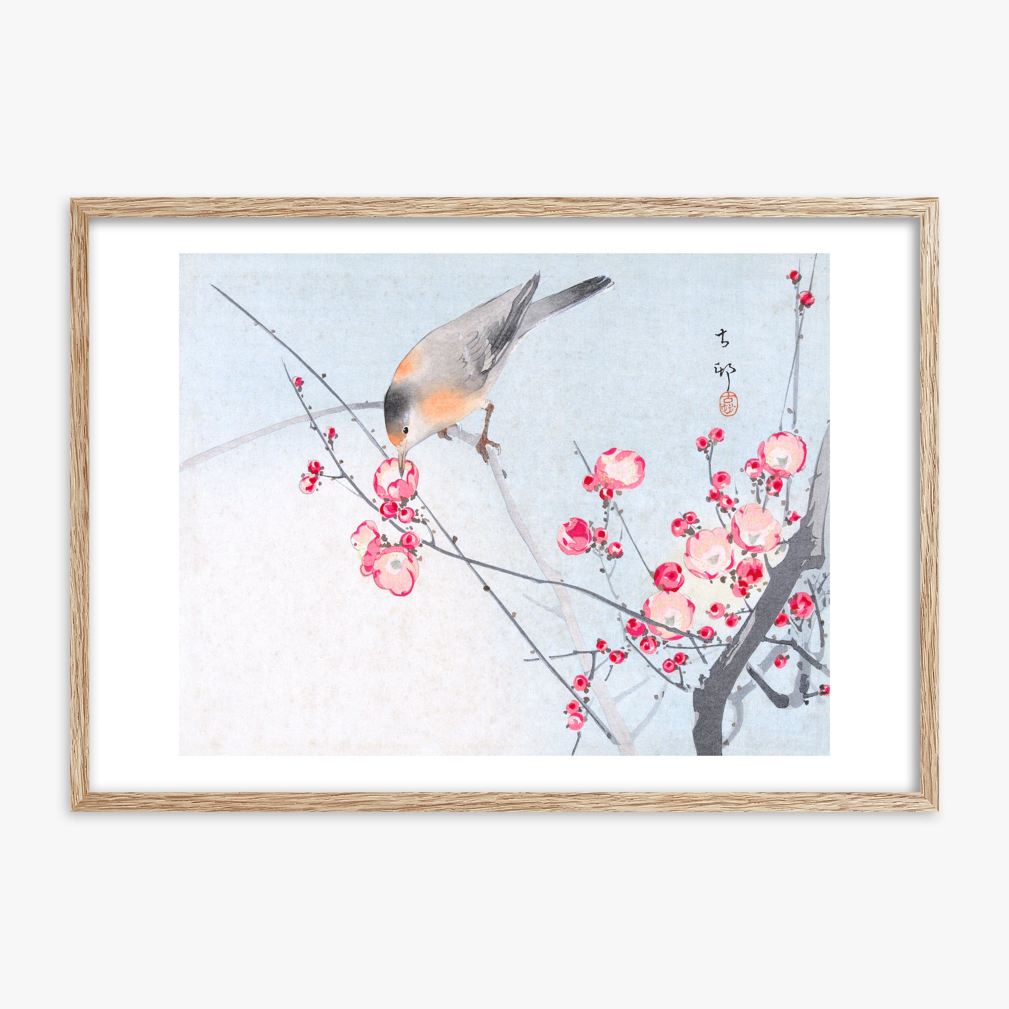 Ohara Koson: Songbird on Blossom Branch, 70x100cm Framed Art Reproduction With Raw Oak Frame