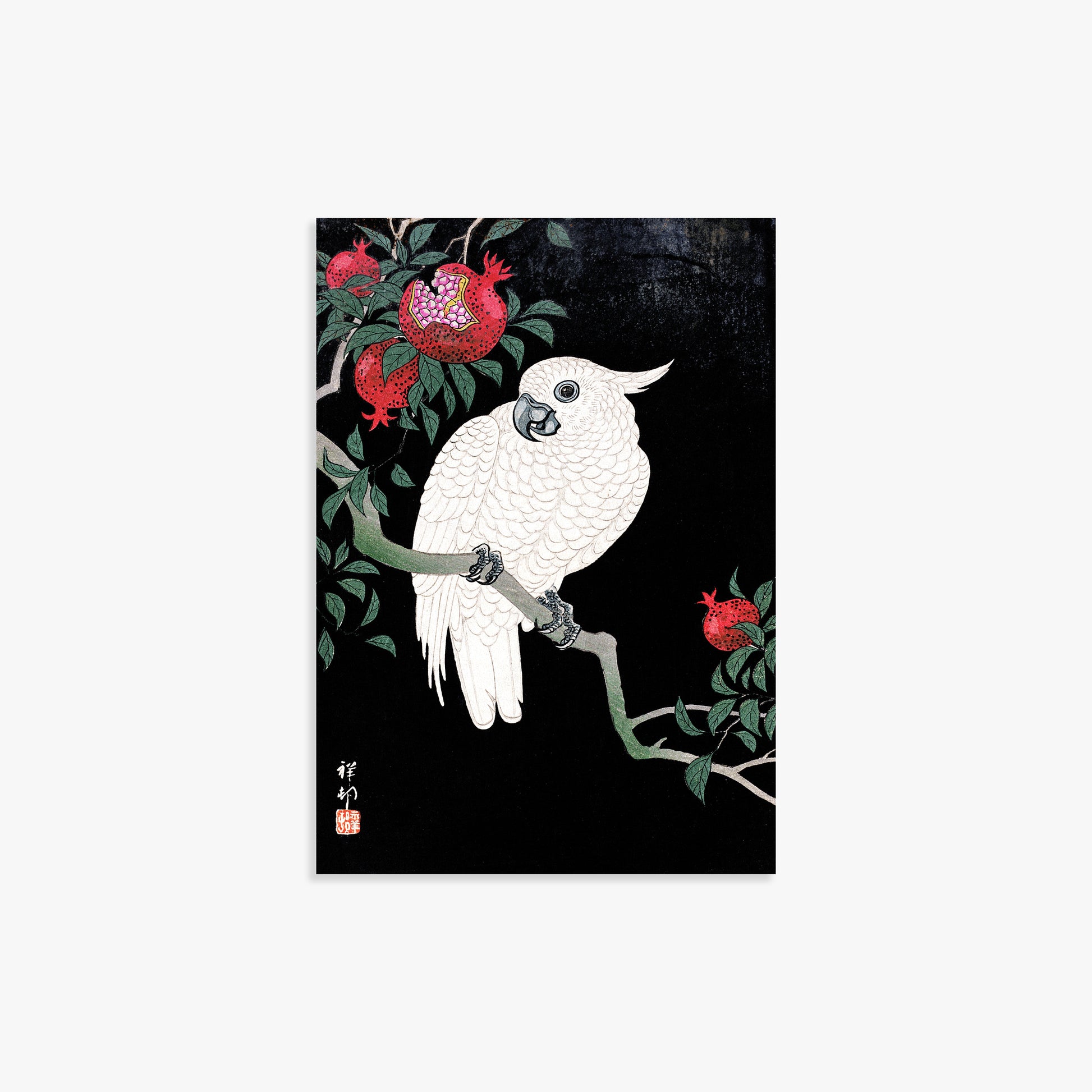 Ohara Koson: Cockatoo and Pomegranate, 21x30cm Art Reproduction Unframed