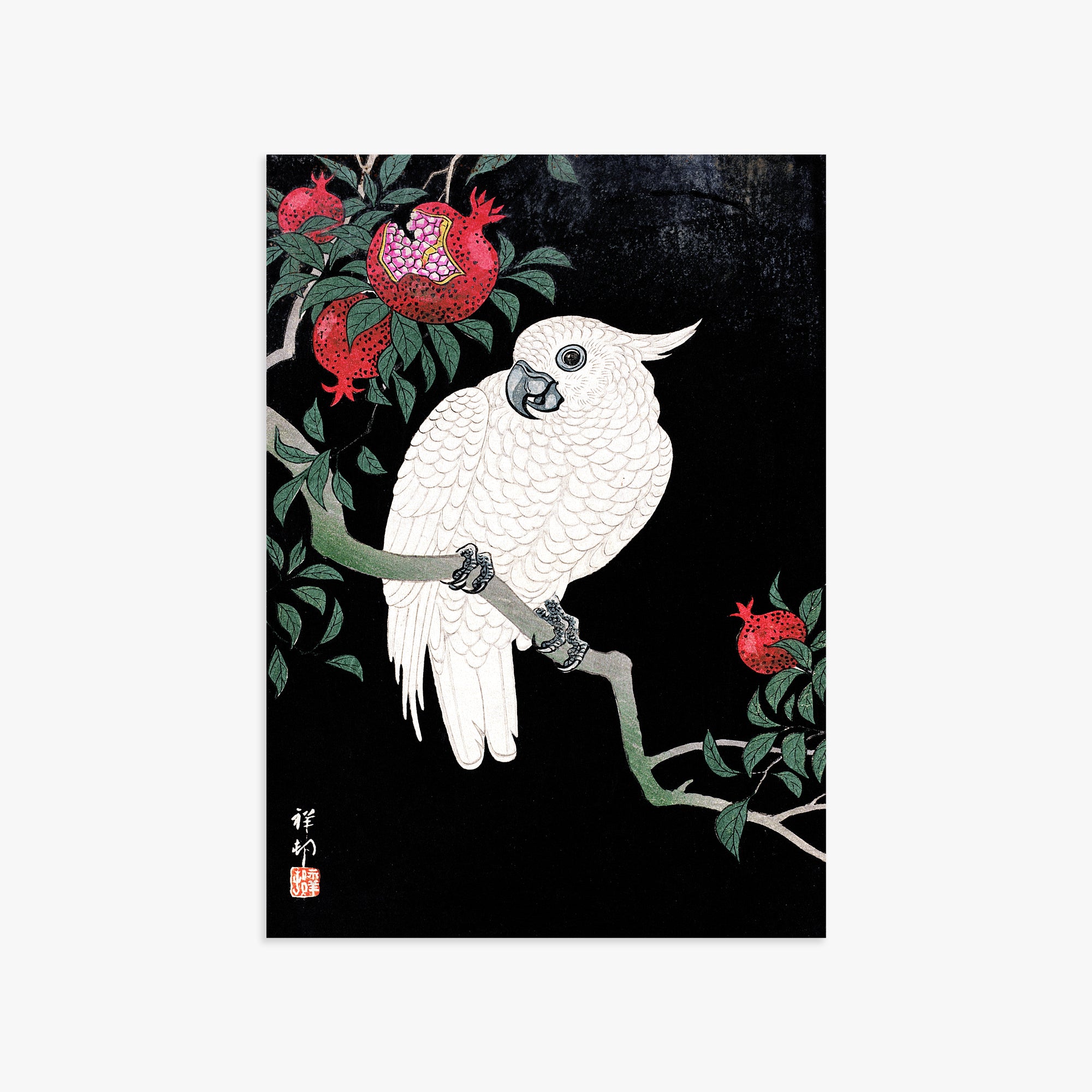 Ohara Koson: Cockatoo and Pomegranate, 50x70cm Art Reproduction Unframed