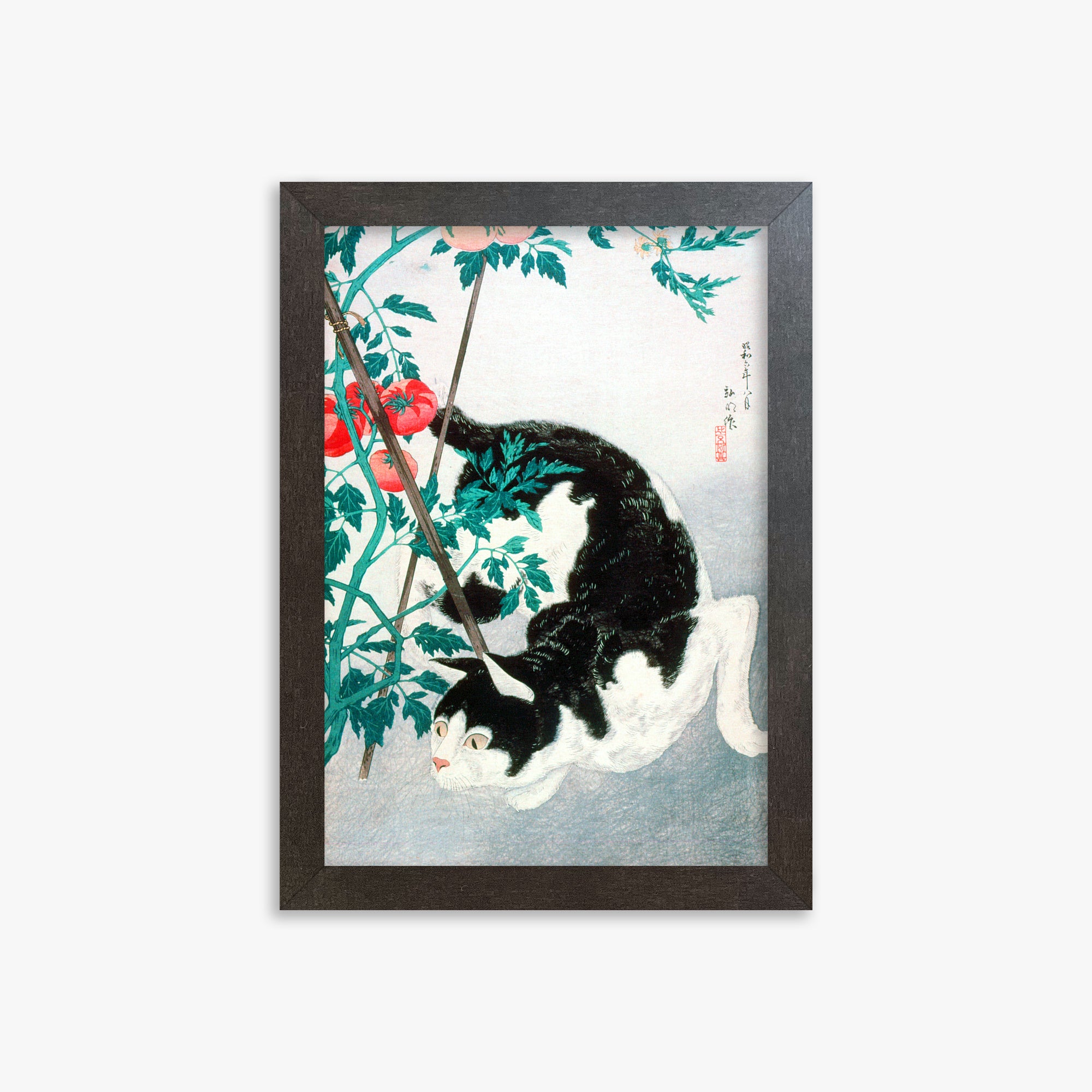 Takahashi Hiroaki (Shōtei): Cat with Tomato Plant, 21x30cm Framed Art Reproduction With Espresso Frame