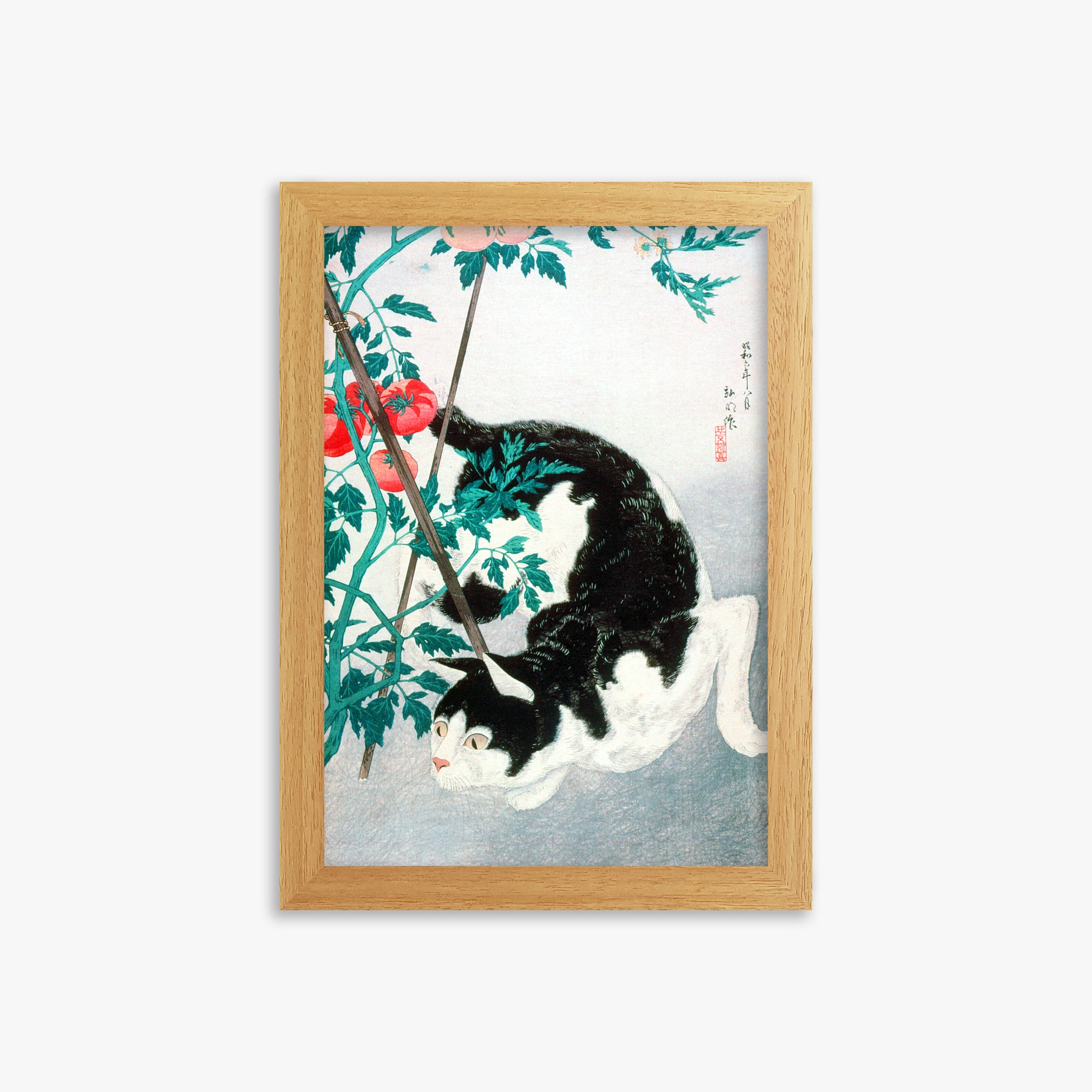 Takahashi Hiroaki (Shōtei): Cat with Tomato Plant, 21x30cm Framed Art Reproduction With Oak Frame