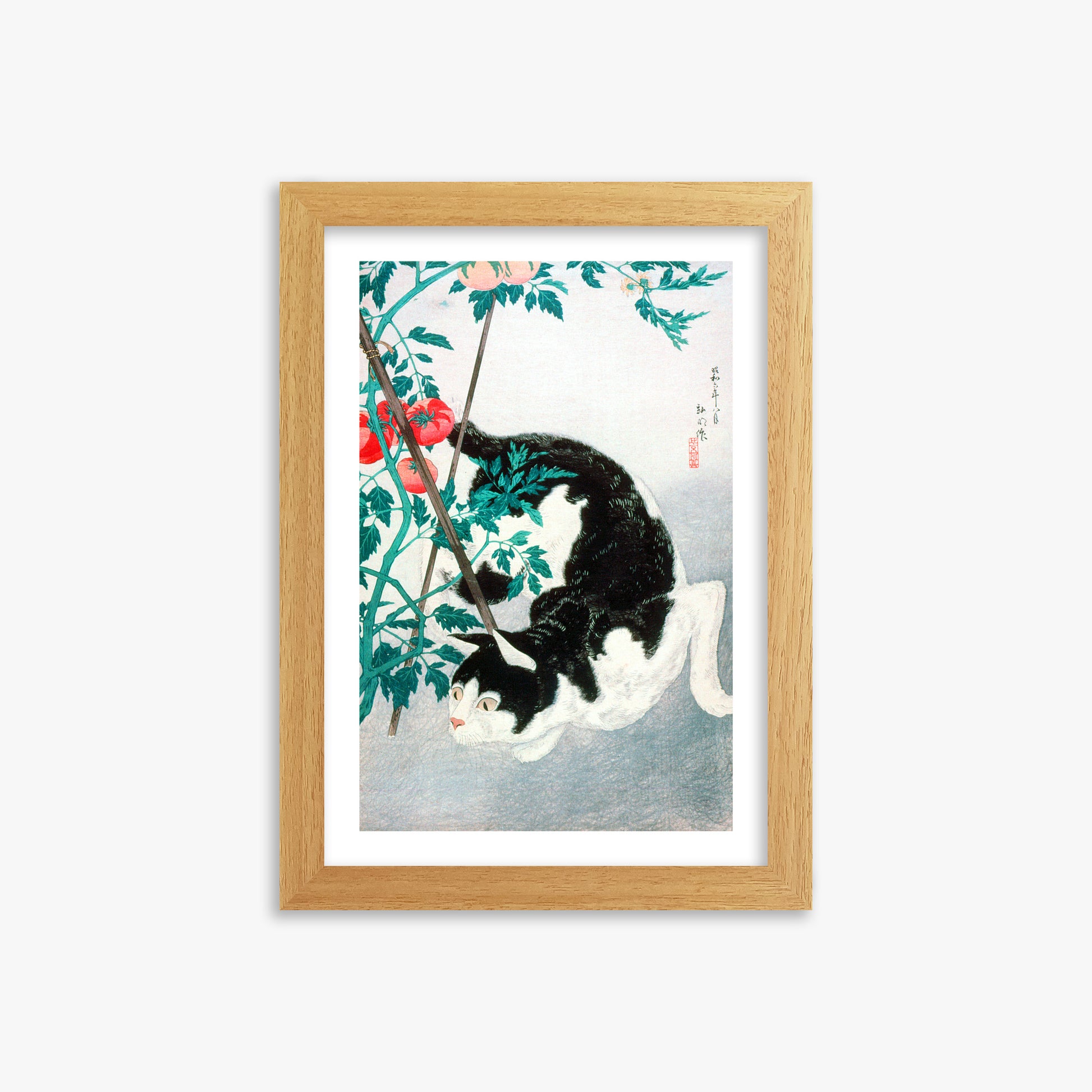 Takahashi Hiroaki (Shōtei): Cat with Tomato Plant, 21x30cm Framed Art Reproduction With Oak Frame