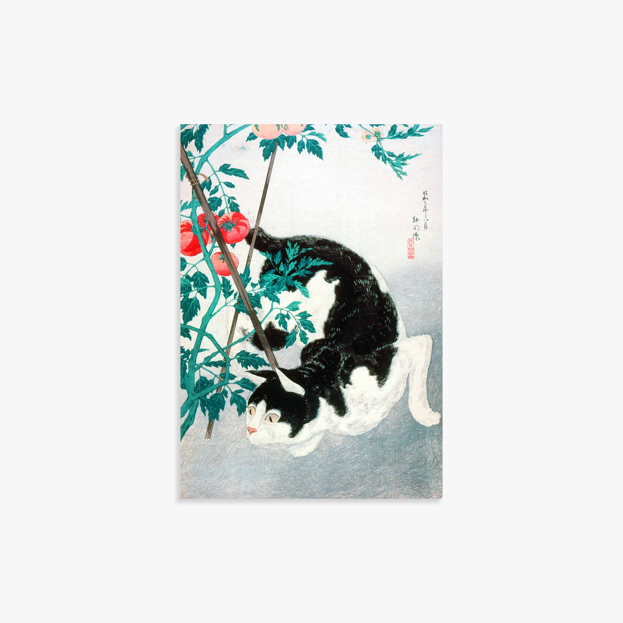 Takahashi Hiroaki (Shōtei): Cat with Tomato Plant, 21x30cm Art Reproduction Unframed