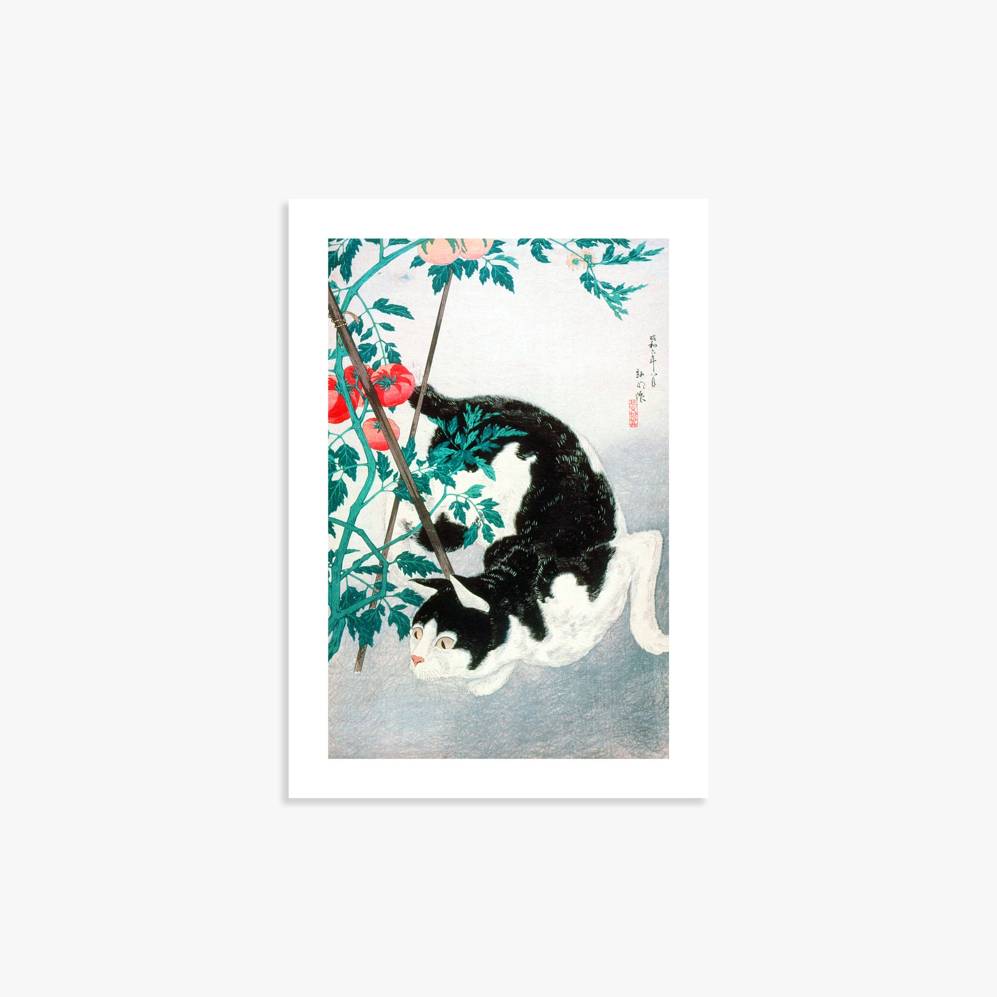 Takahashi Hiroaki (Shōtei): Cat with Tomato Plant, 21x30cm Art Reproduction Unframed