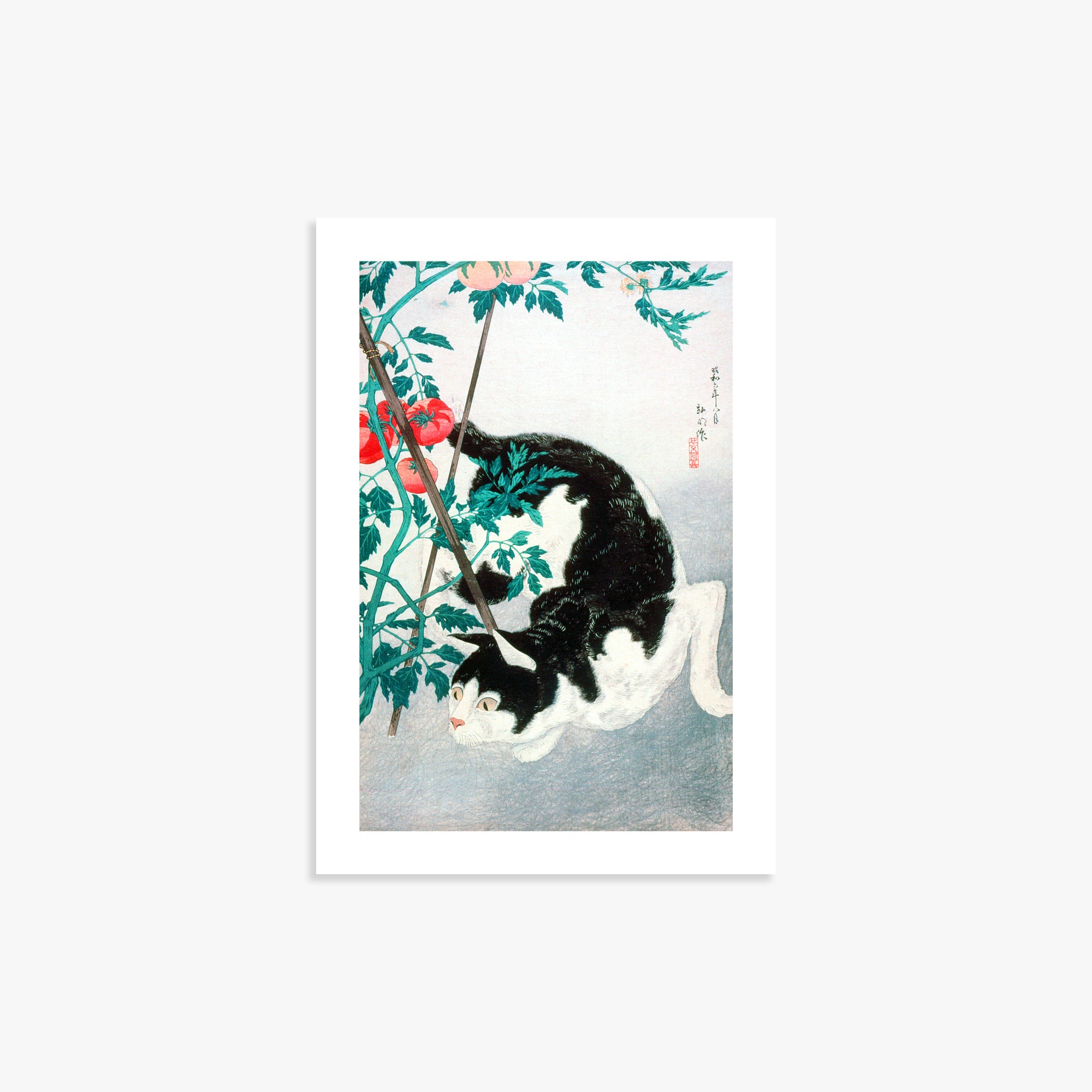 Takahashi Hiroaki (Shōtei): Cat with Tomato Plant, 21x30cm Art Reproduction Unframed