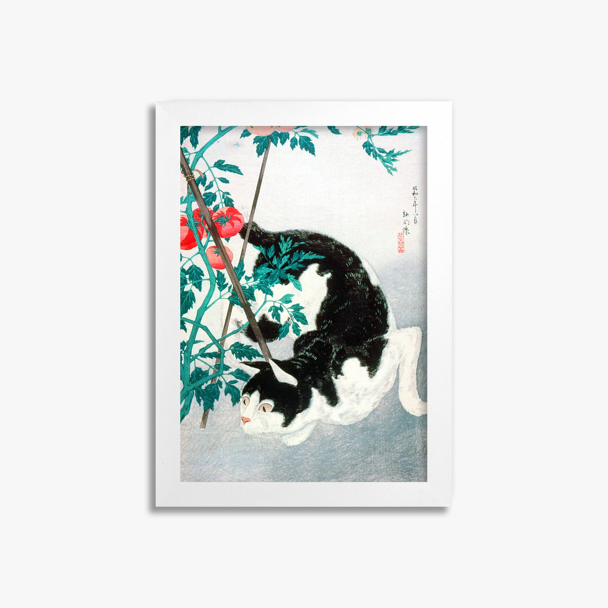 Takahashi Hiroaki (Shōtei): Cat with Tomato Plant, 21x30cm Framed Art Reproduction With White Frame