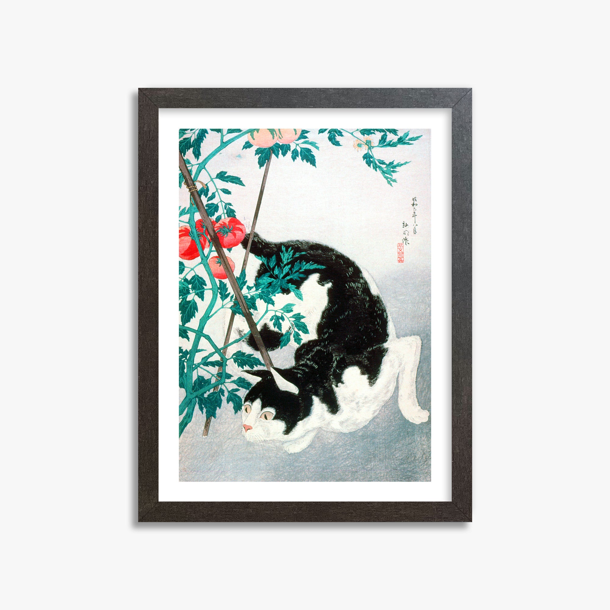 Takahashi Hiroaki (Shōtei): Cat with Tomato Plant, 30x40cm Framed Art Reproduction With Espresso Frame