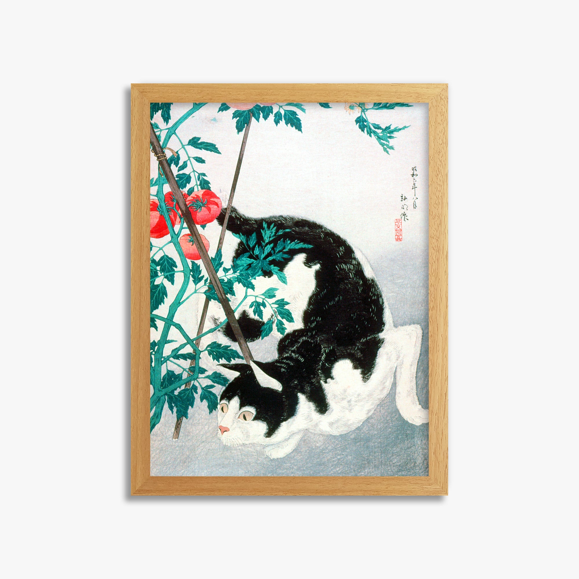 Takahashi Hiroaki (Shōtei): Cat with Tomato Plant, 30x40cm Framed Art Reproduction With Oak Frame
