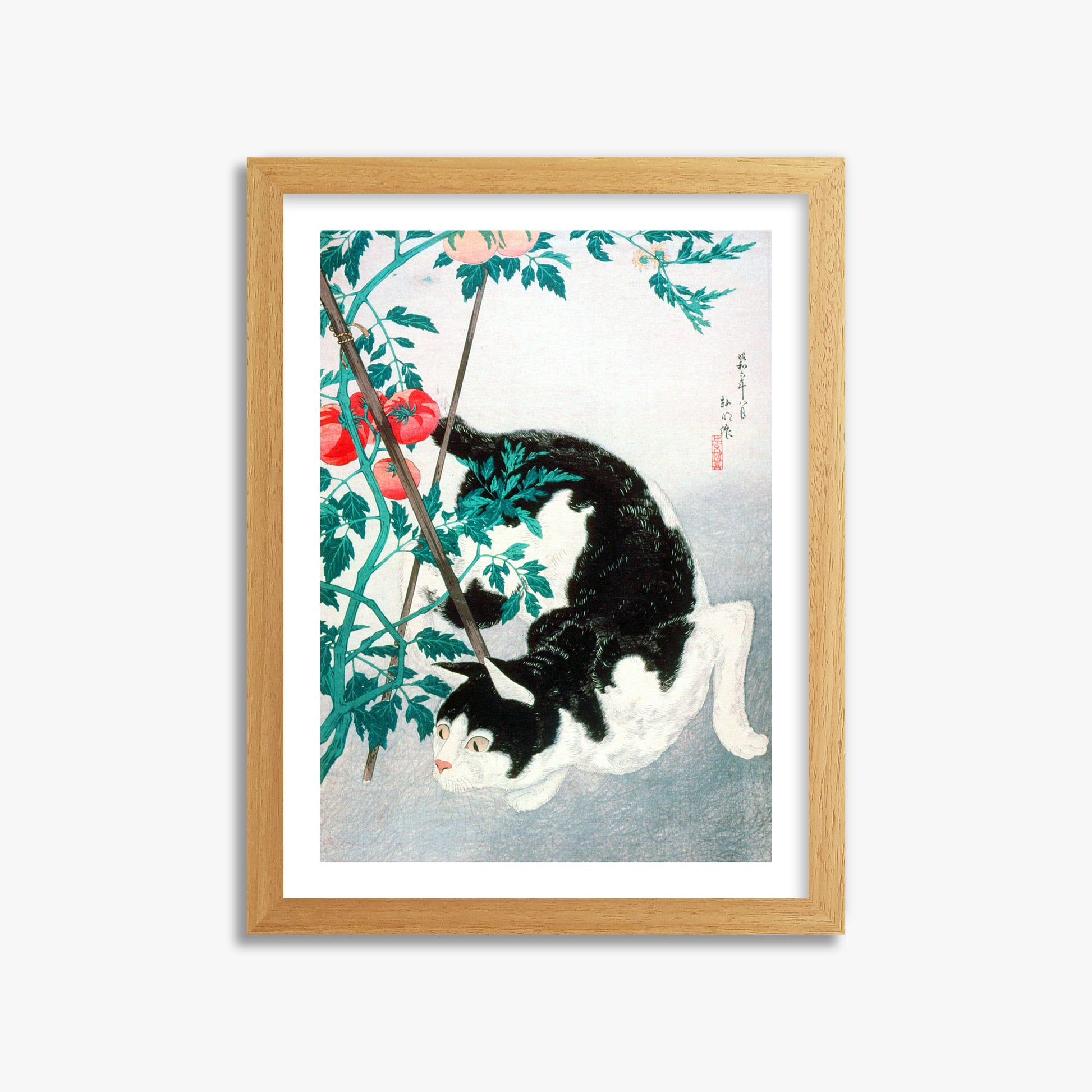 Takahashi Hiroaki (Shōtei): Cat with Tomato Plant, 30x40cm Framed Art Reproduction With Oak Frame