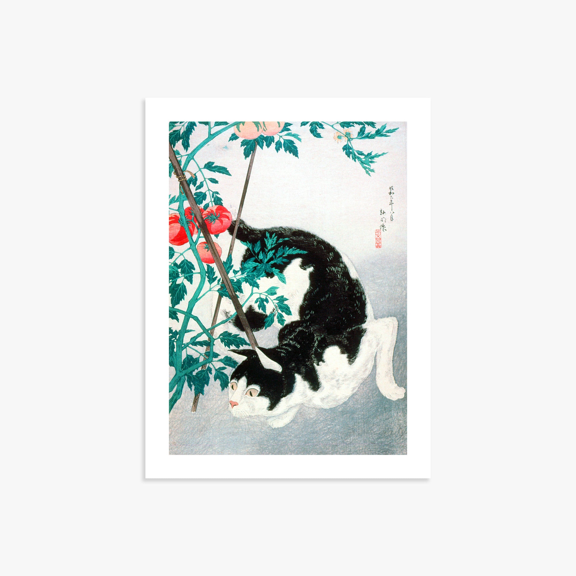 Takahashi Hiroaki (Shōtei): Cat with Tomato Plant, 30x40cm Art Reproduction Unframed