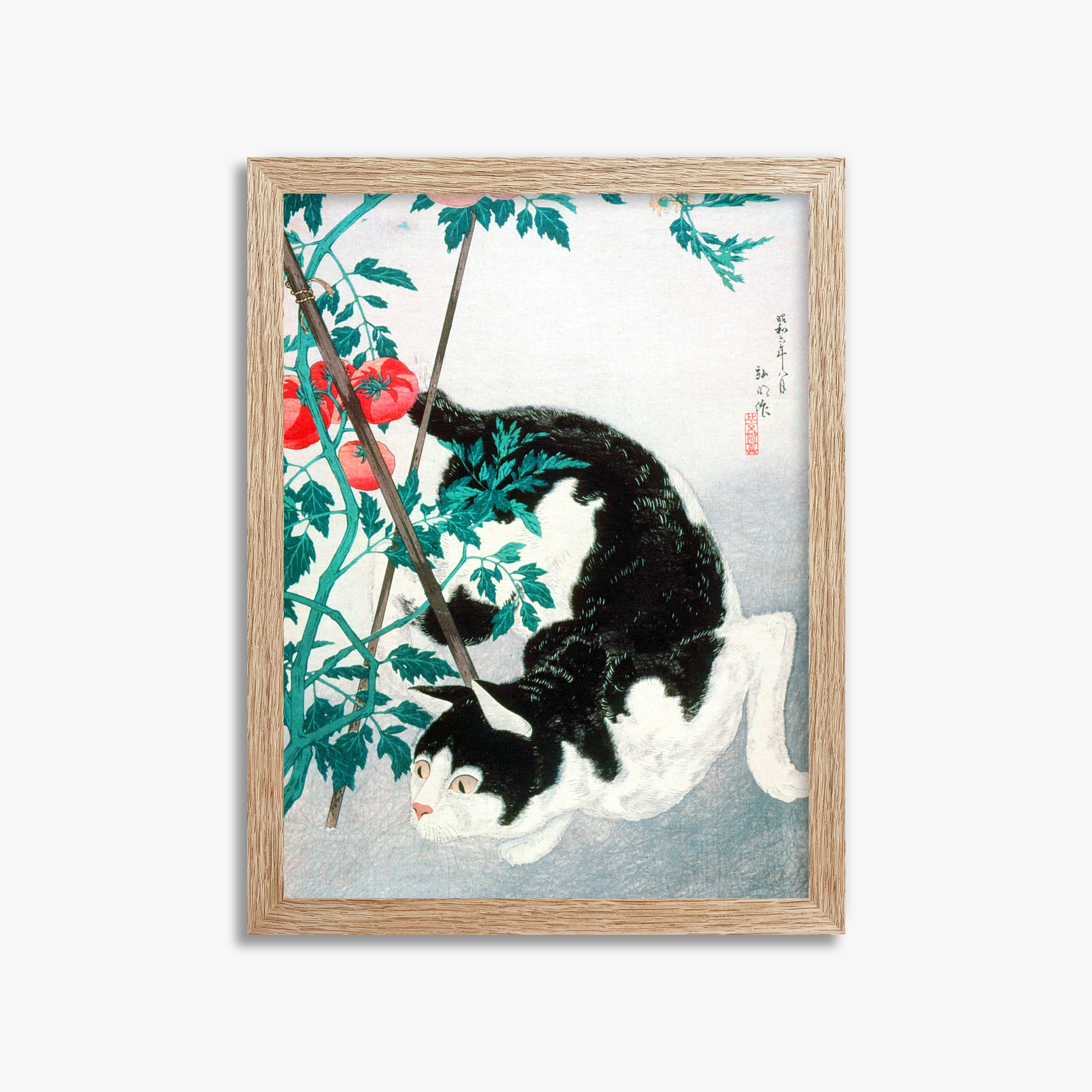 Takahashi Hiroaki (Shōtei): Cat with Tomato Plant, 30x40cm Framed Art Reproduction With Raw Oak Frame