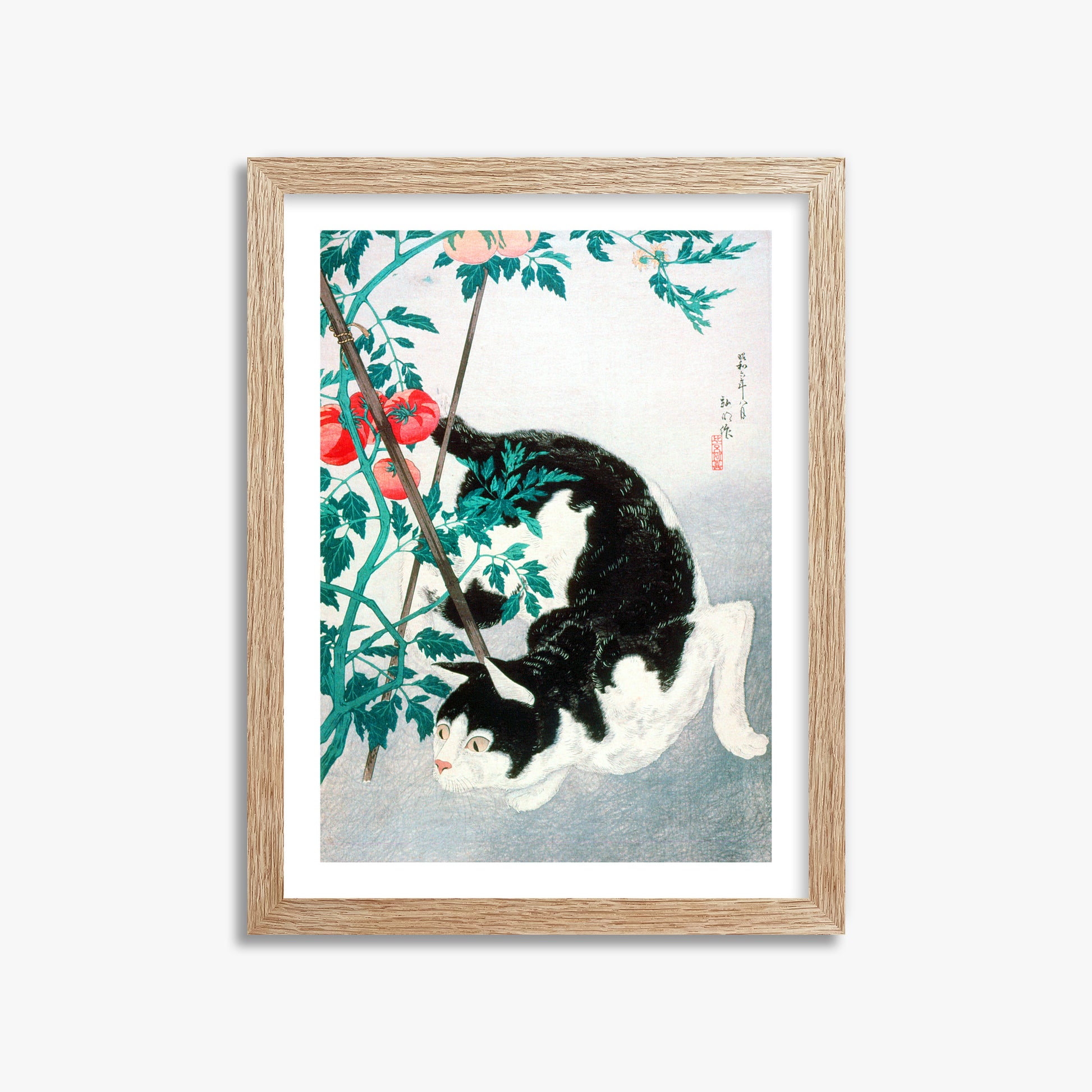 Takahashi Hiroaki (Shōtei): Cat with Tomato Plant, 30x40cm Framed Art Reproduction With Raw Oak Frame