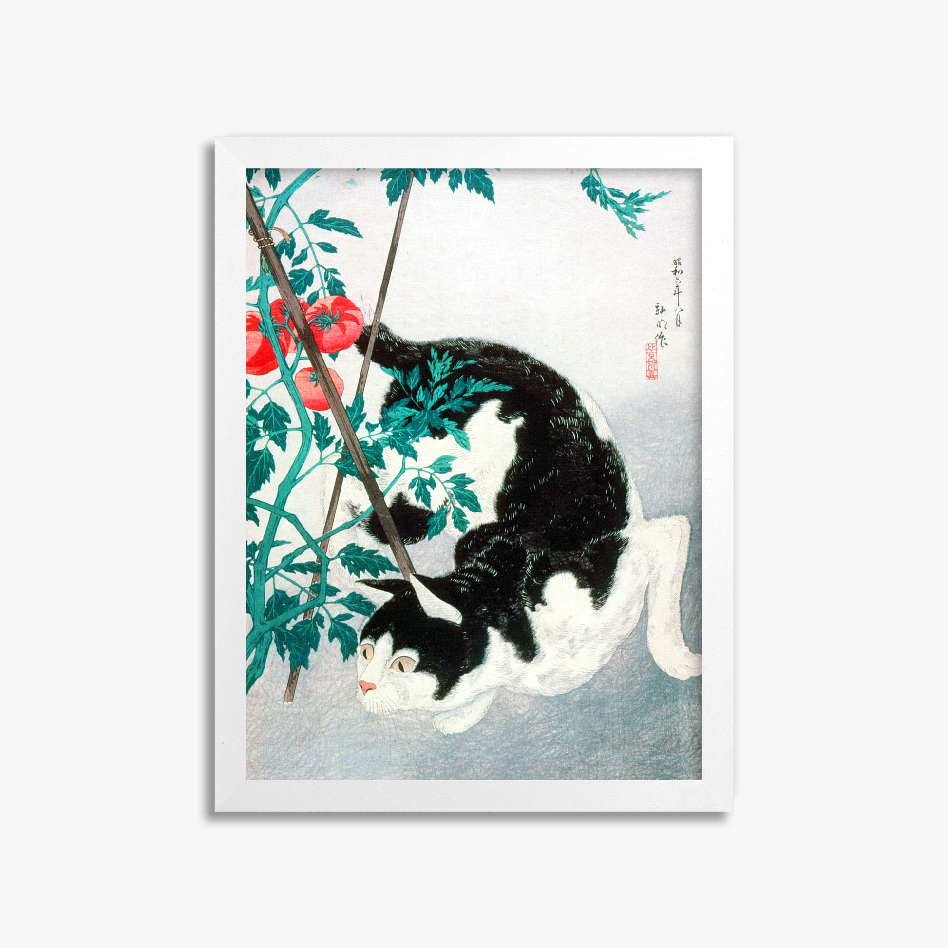 Takahashi Hiroaki (Shōtei): Cat with Tomato Plant, 30x40cm Framed Art Reproduction With White Frame