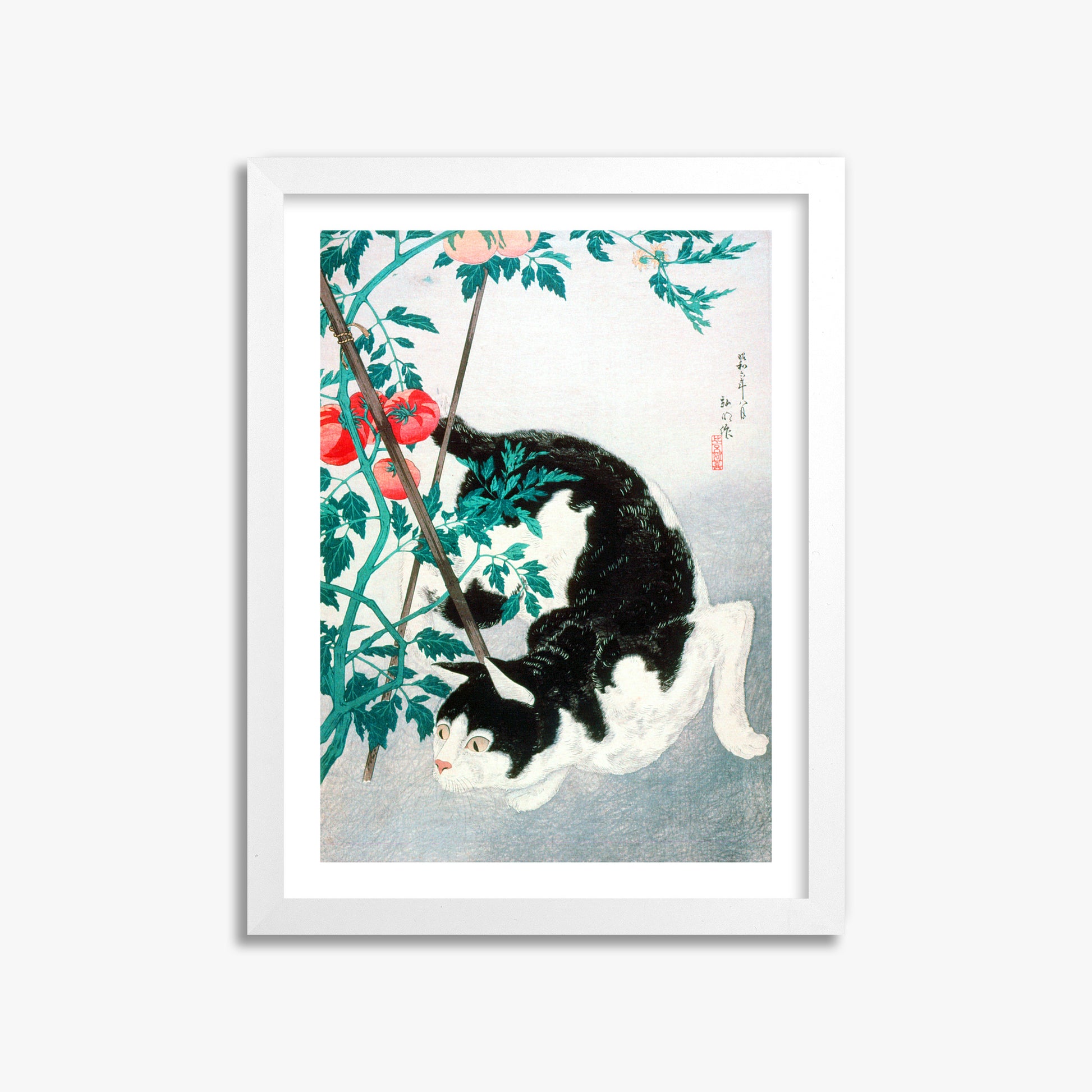 Takahashi Hiroaki (Shōtei): Cat with Tomato Plant, 30x40cm Framed Art Reproduction With White Frame