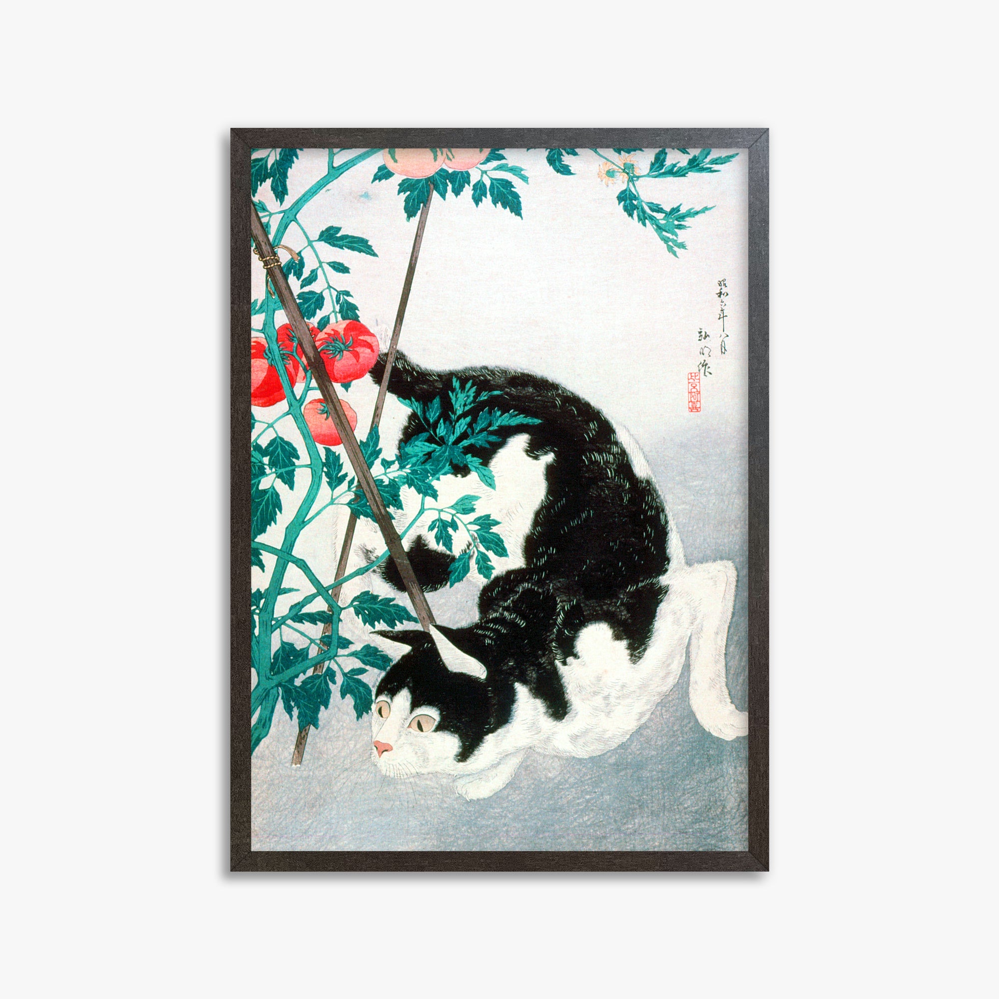 Takahashi Hiroaki (Shōtei): Cat with Tomato Plant, 50x70cm Framed Art Reproduction With Espresso Frame