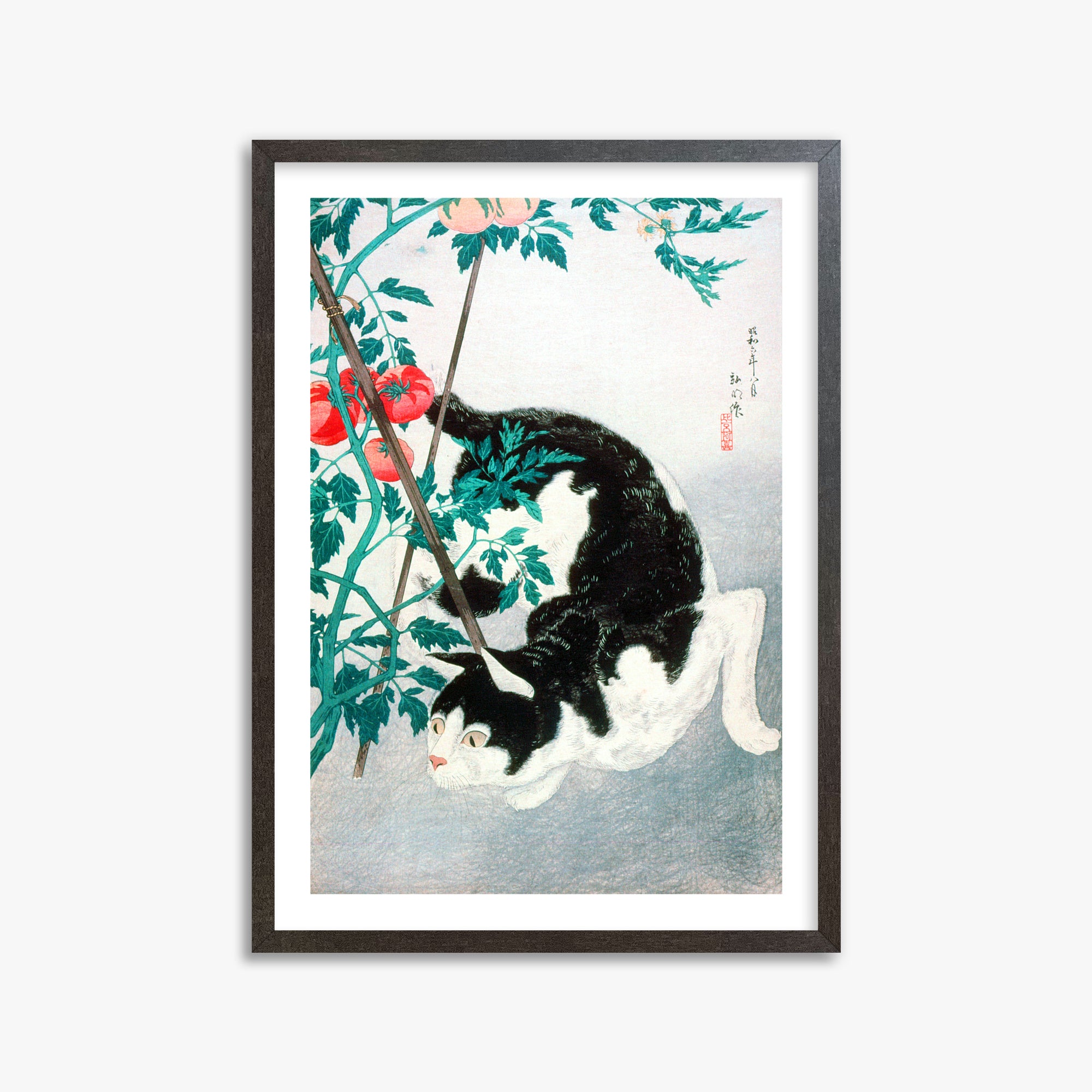 Takahashi Hiroaki (Shōtei): Cat with Tomato Plant, 50x70cm Framed Art Reproduction With Espresso Frame