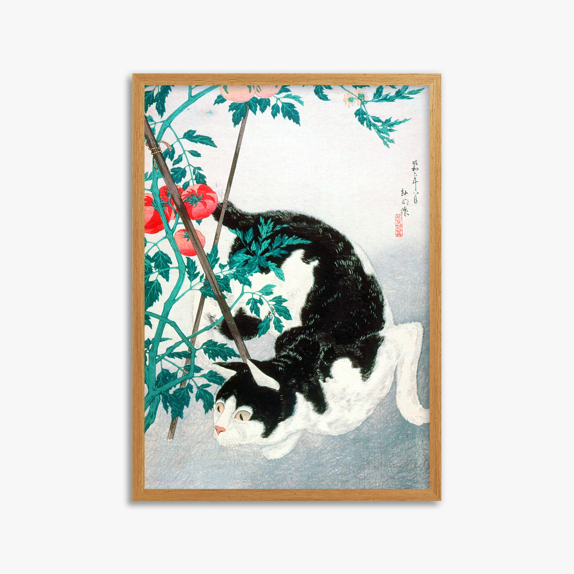 Takahashi Hiroaki (Shōtei): Cat with Tomato Plant, 50x70cm Framed Art Reproduction With Oak Frame