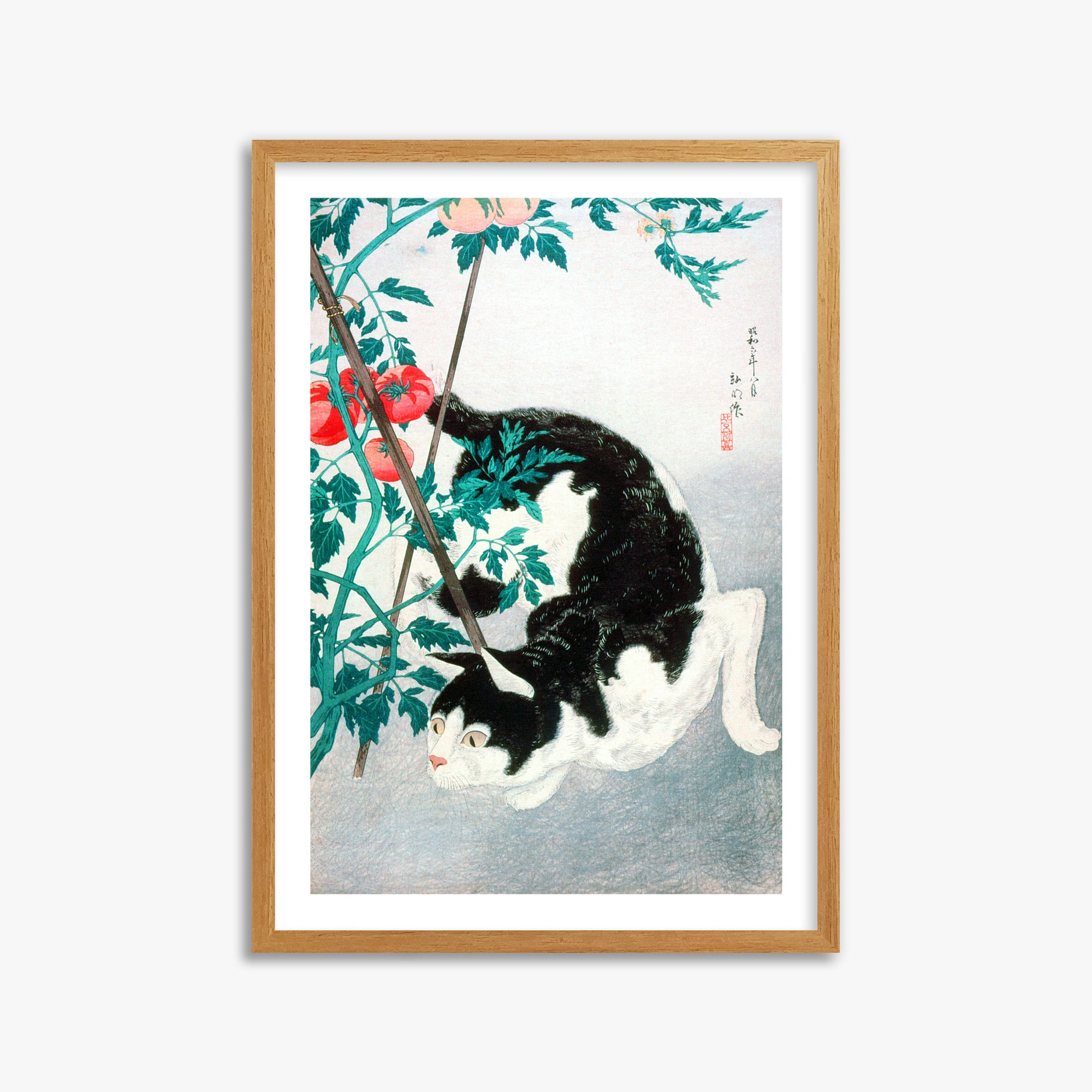 Takahashi Hiroaki (Shōtei): Cat with Tomato Plant, 50x70cm Framed Art Reproduction With Oak Frame