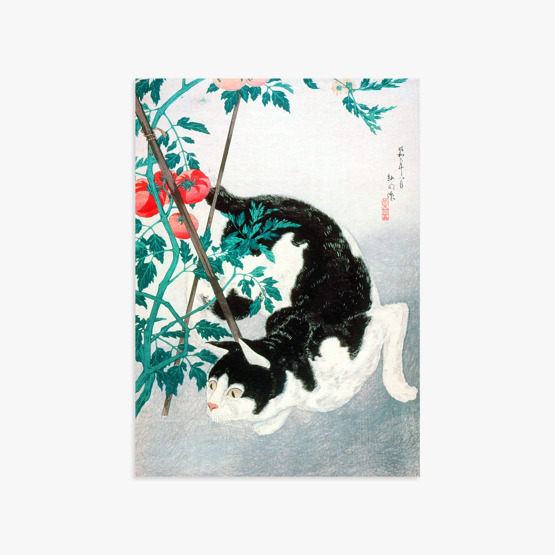 Takahashi Hiroaki (Shōtei): Cat with Tomato Plant, 50x70cm Art Reproduction Unframed