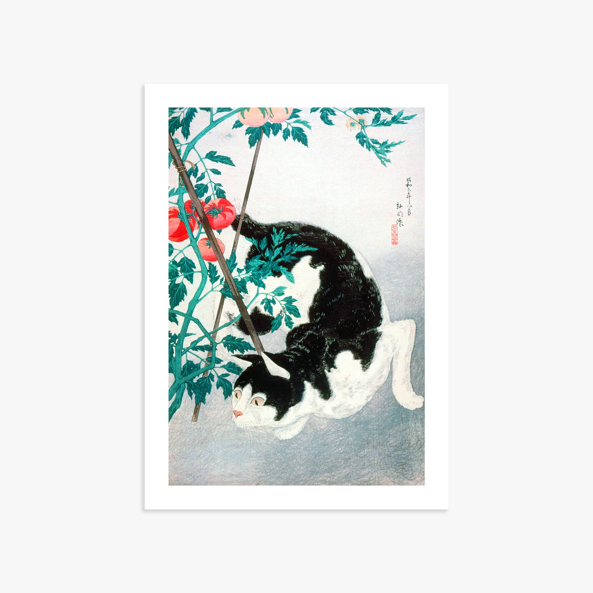 Takahashi Hiroaki (Shōtei): Cat with Tomato Plant, 50x70cm Art Reproduction Unframed