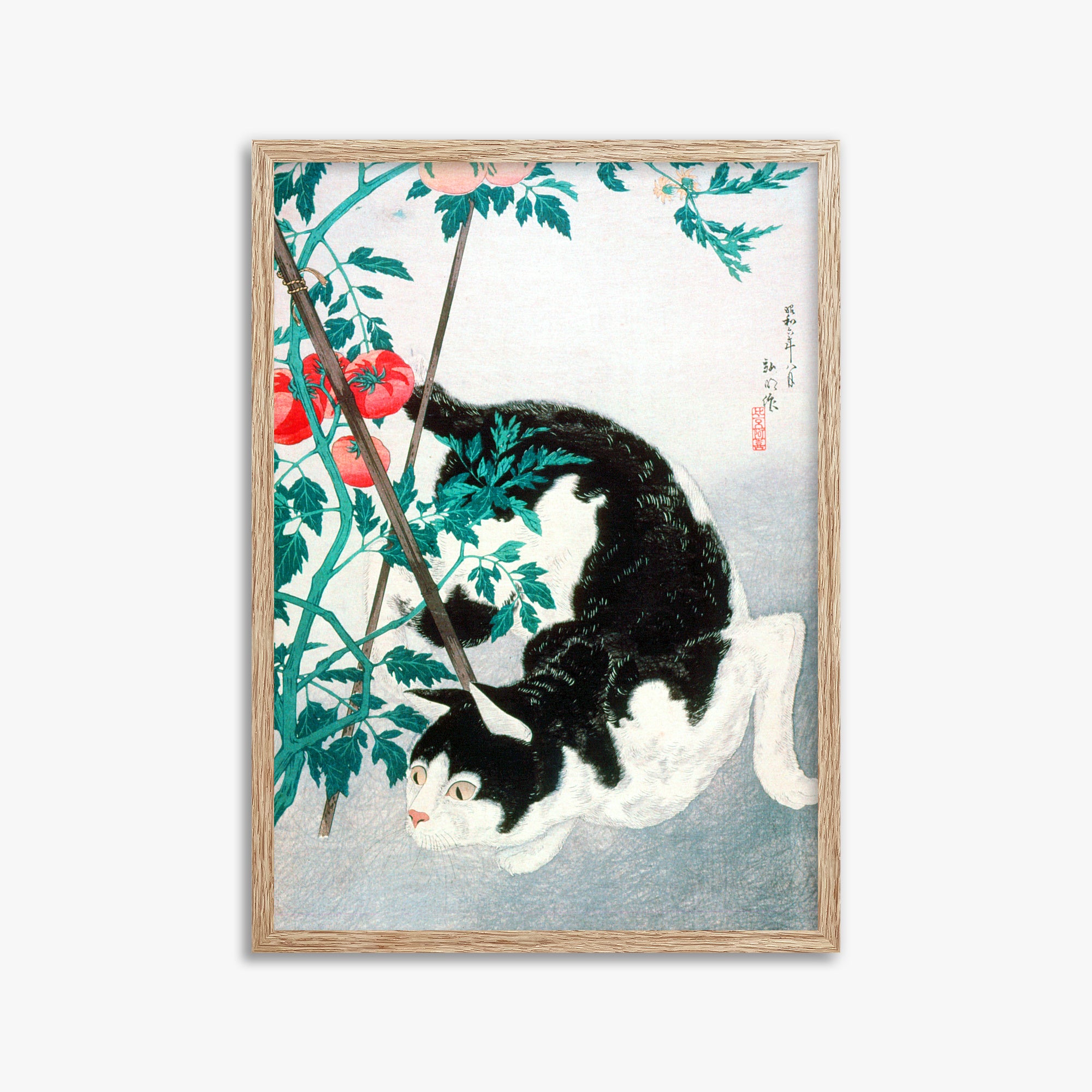 Takahashi Hiroaki (Shōtei): Cat with Tomato Plant, 50x70cm Framed Art Reproduction With Raw Oak Frame