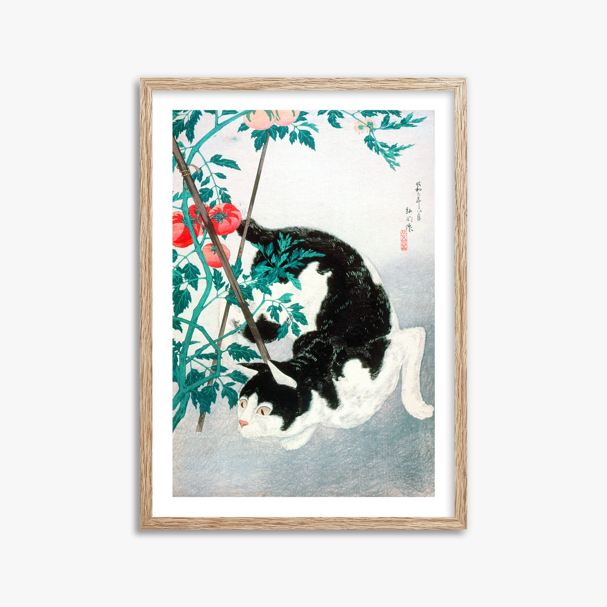Takahashi Hiroaki (Shōtei): Cat with Tomato Plant, 50x70cm Framed Art Reproduction With Raw Oak Frame