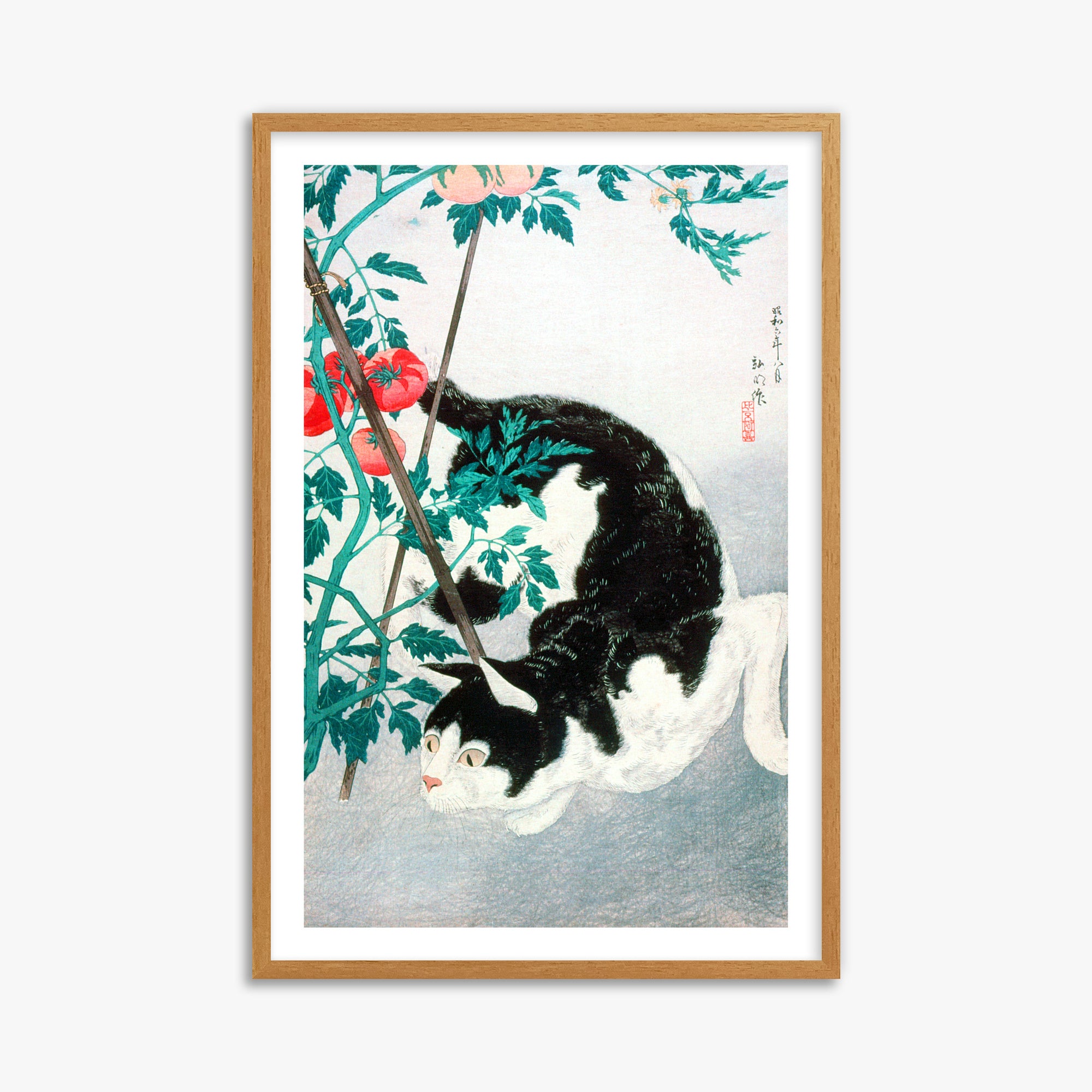 Takahashi Hiroaki (Shōtei): Cat with Tomato Plant, 61x91cm Framed Art Reproduction With Oak Frame